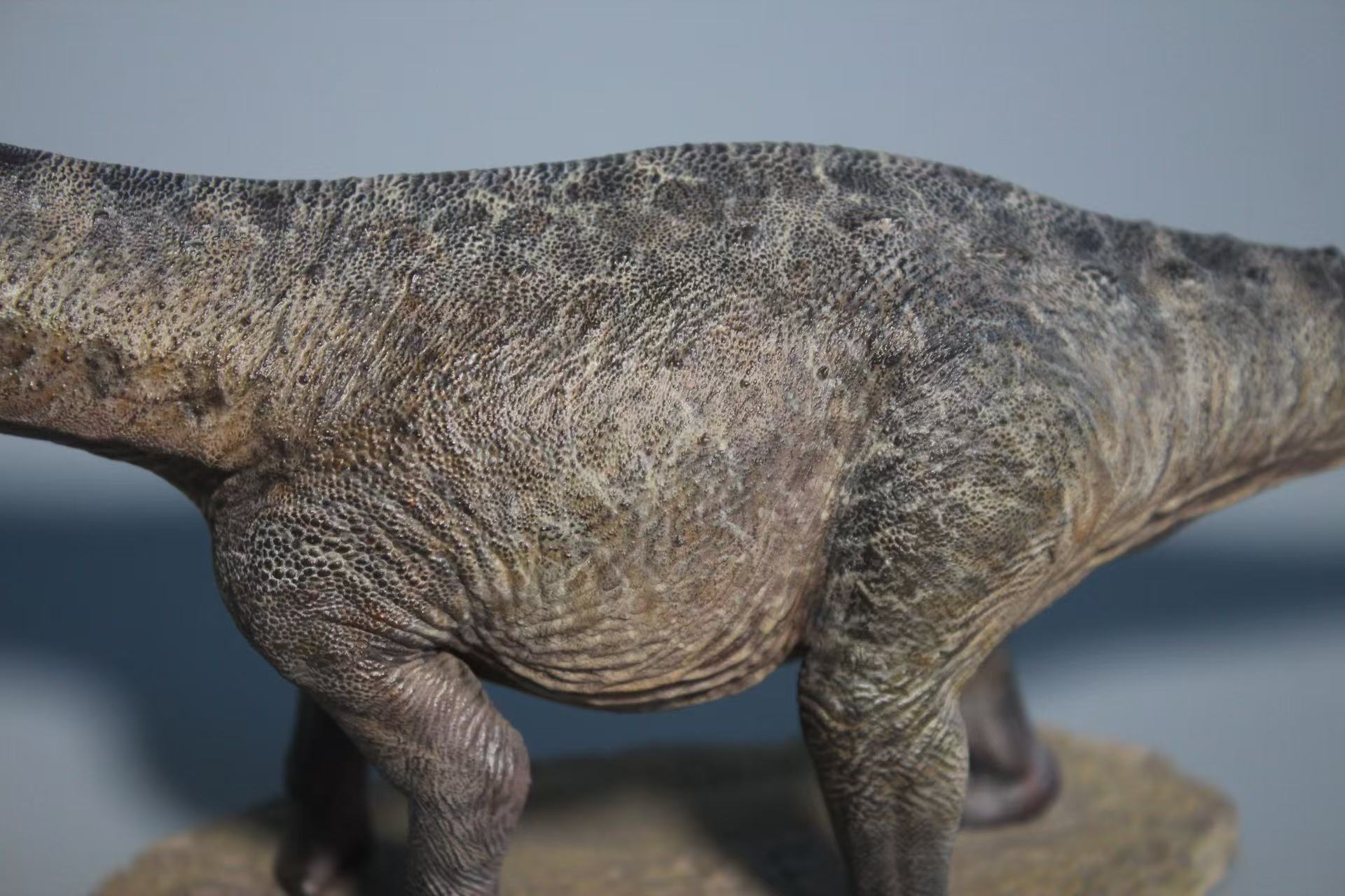 SHOWANNA 1/35 Scale Tapuiasaurus Model