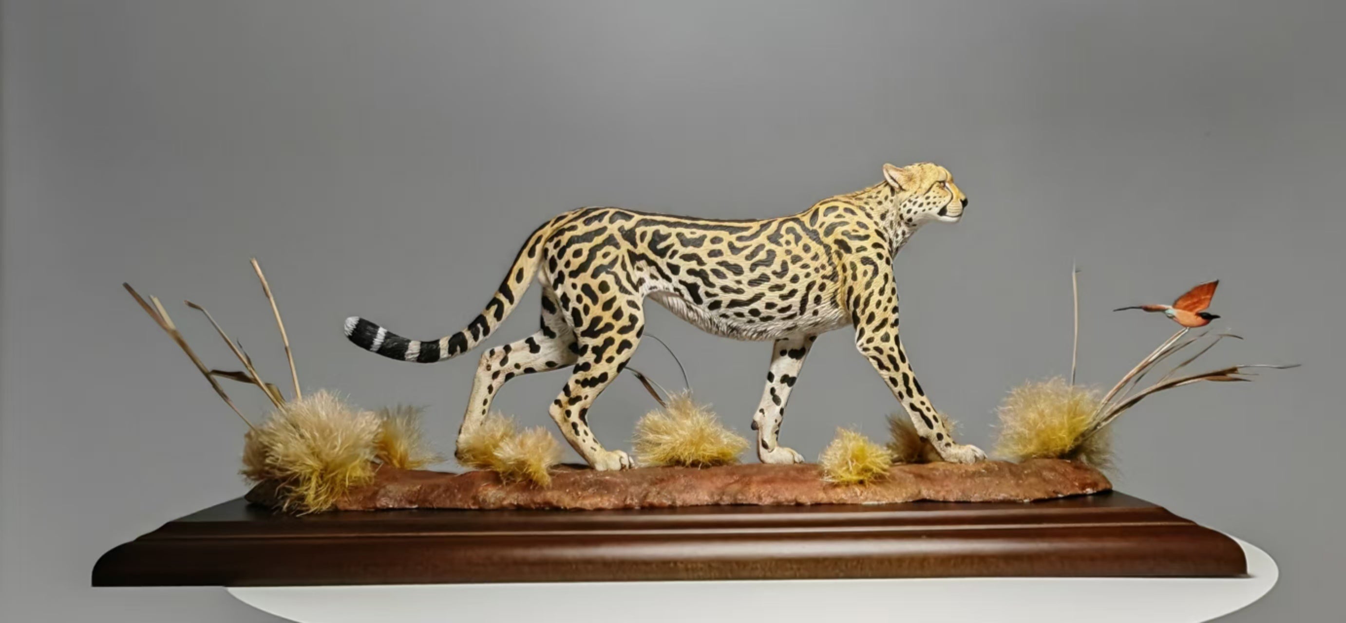 GuoXiong Studio Bushmen Cheetah Scene Model