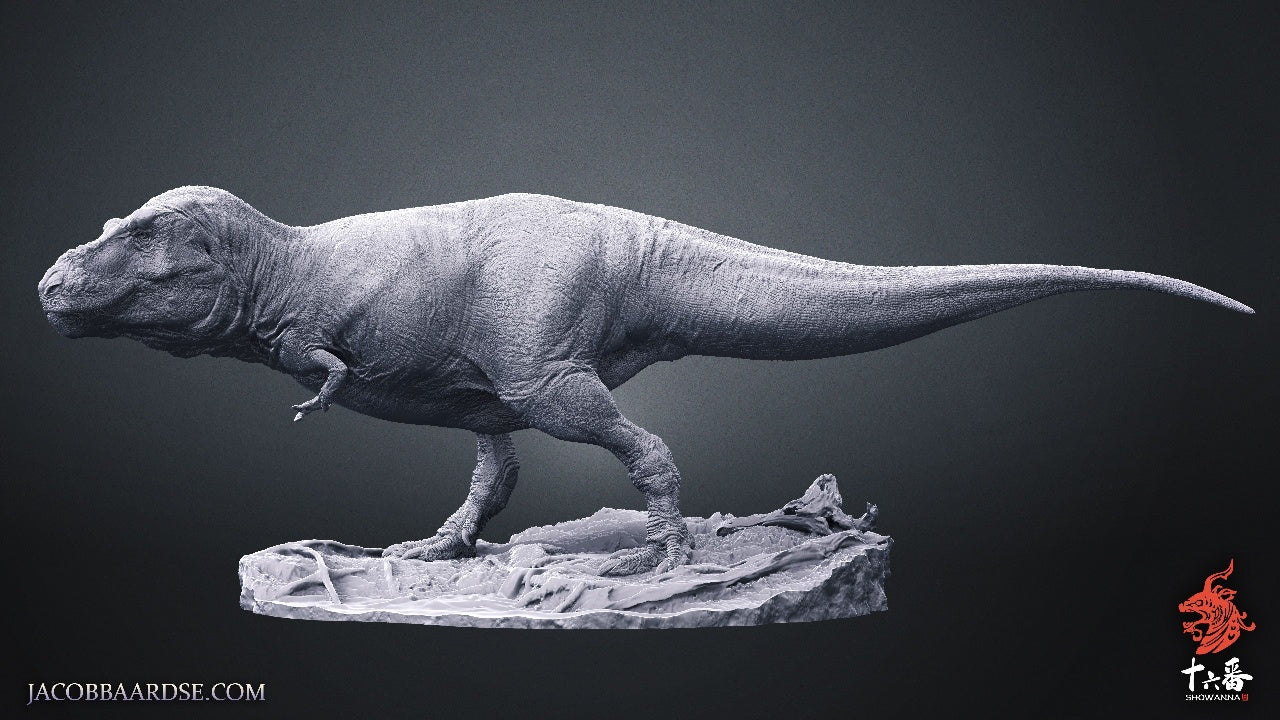 SHOWANNA Tyrannosaurus Rex Sue Model