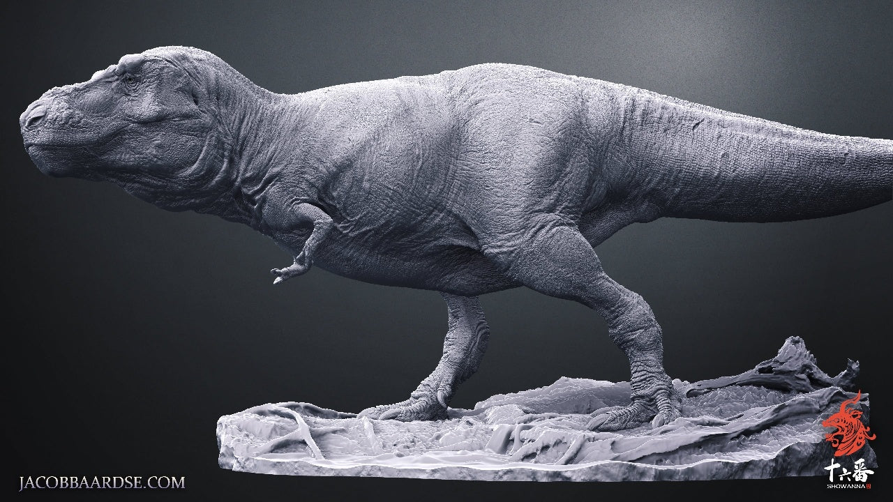 SHOWANNA Tyrannosaurus Rex Sue Model