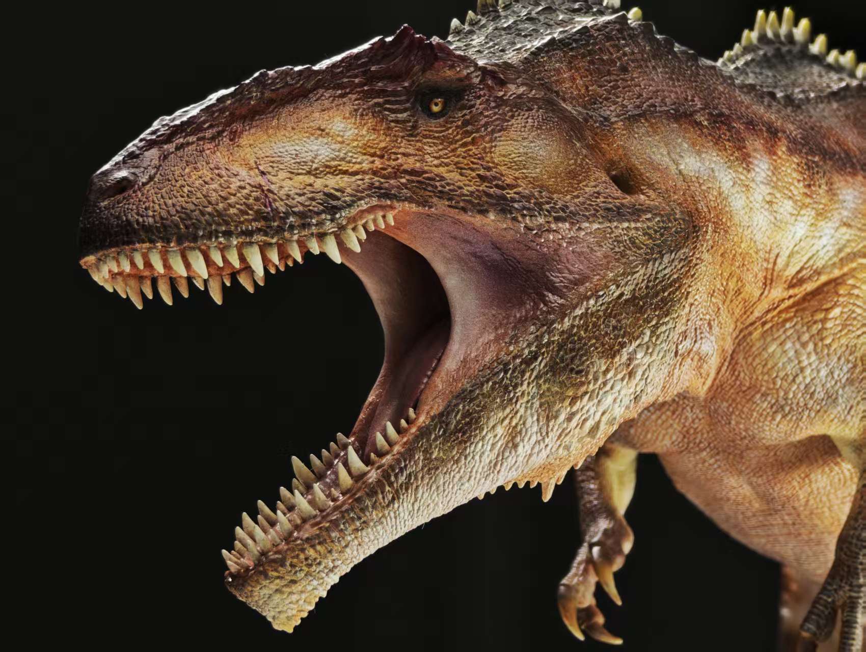 Carson Long STUDIO Giganotosaurus carolinii Model