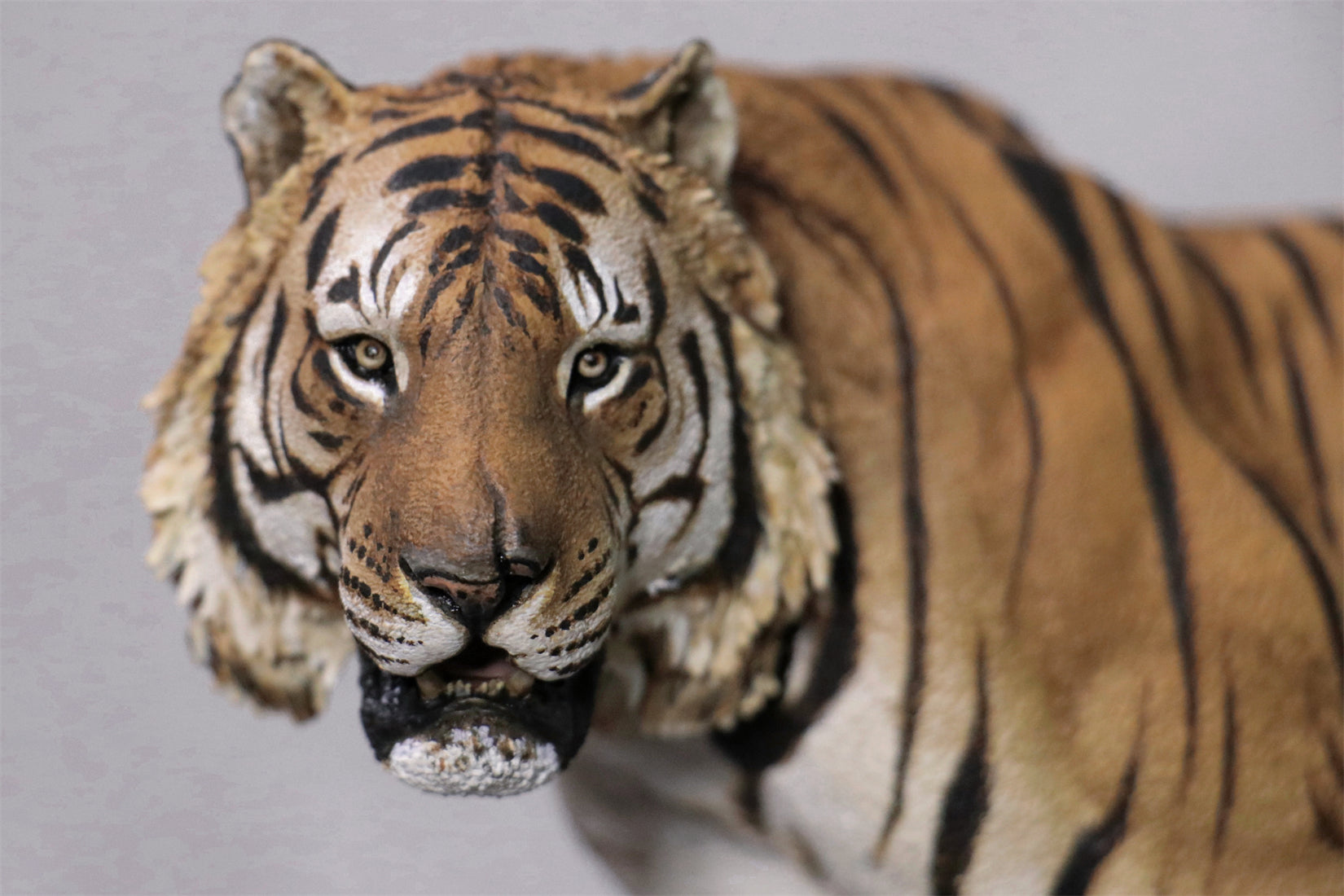 Art&Evolution Studio Bengal Tiger Tarun Model