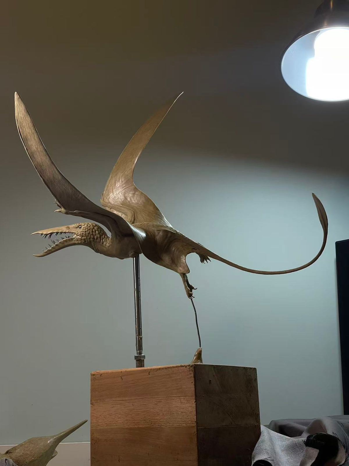 Sensen 1:1 Scale Rhamphorhynchus Aspidorhynchus Scene Model