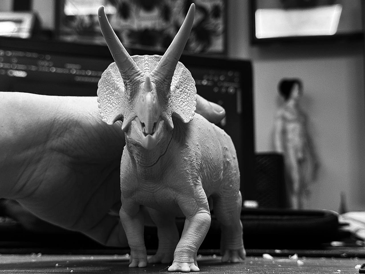 De CLAY Studio Torosaurus latus Model