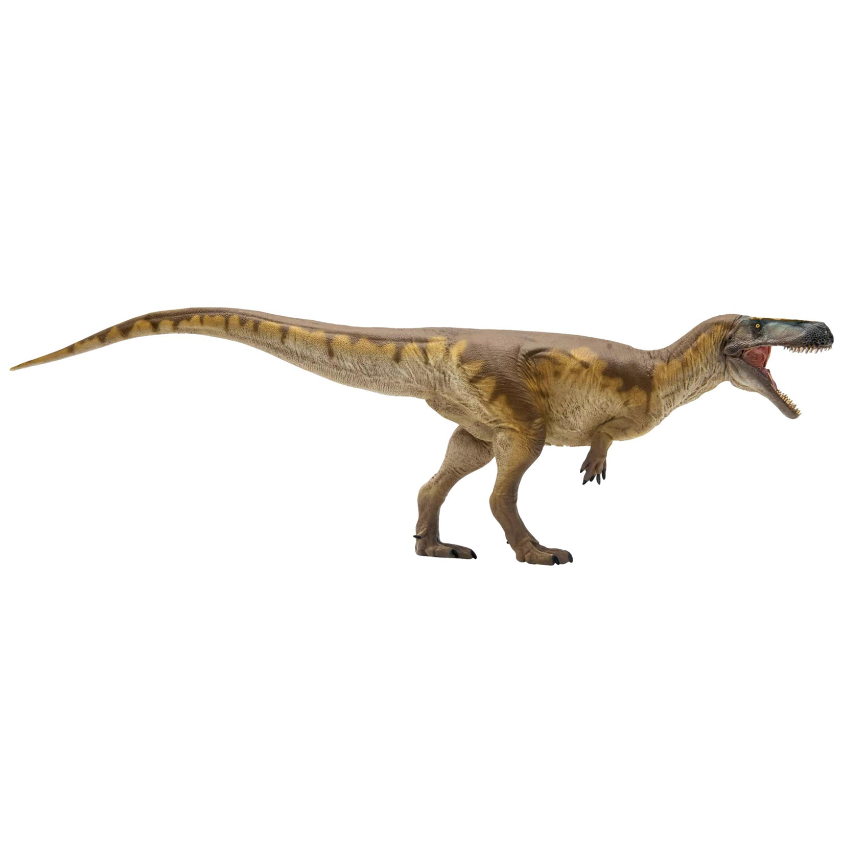 PNSO Megalosaurus Edward Model