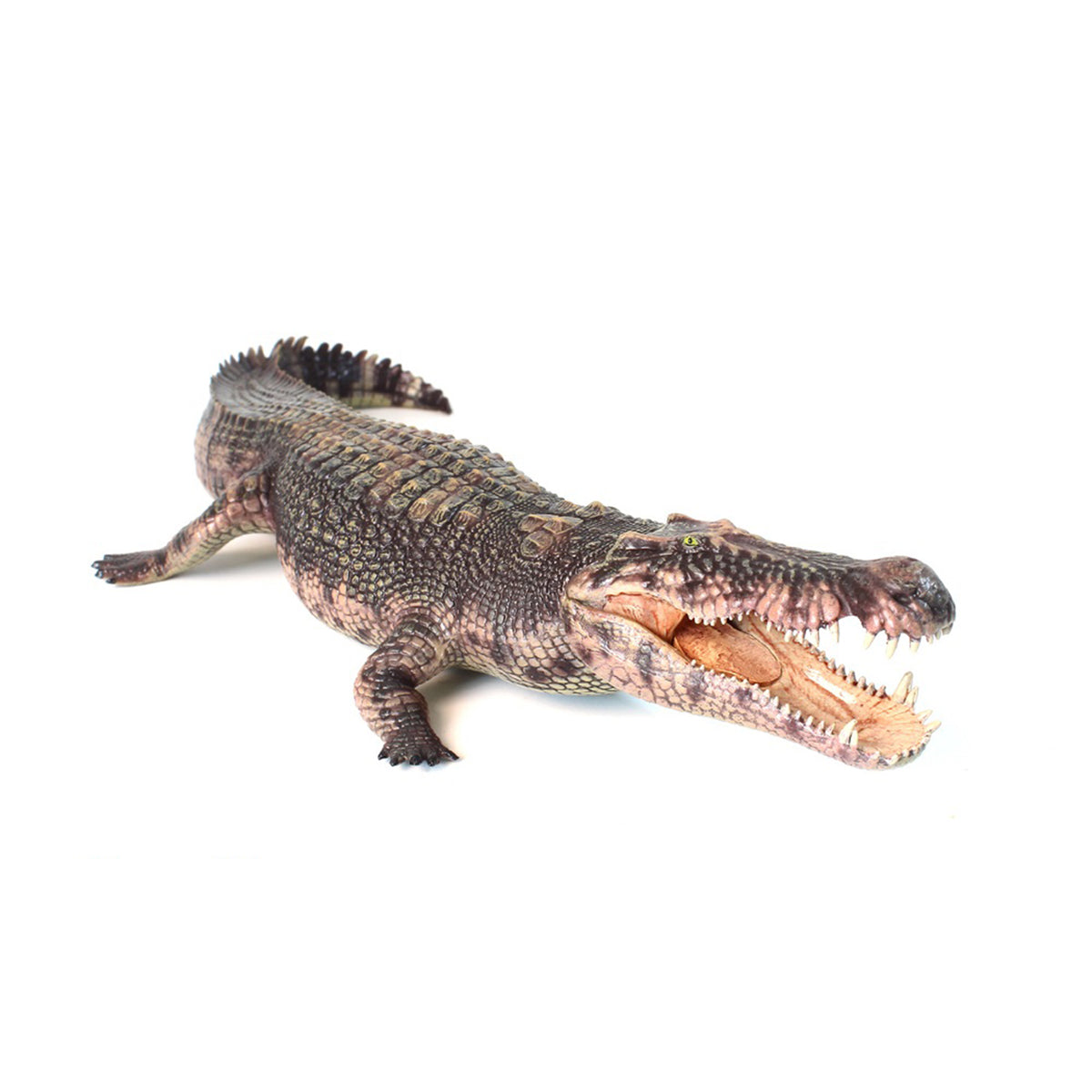 Modèle réduit de Giganotosaurus HAOLONGGOOD à l'échelle 1:35