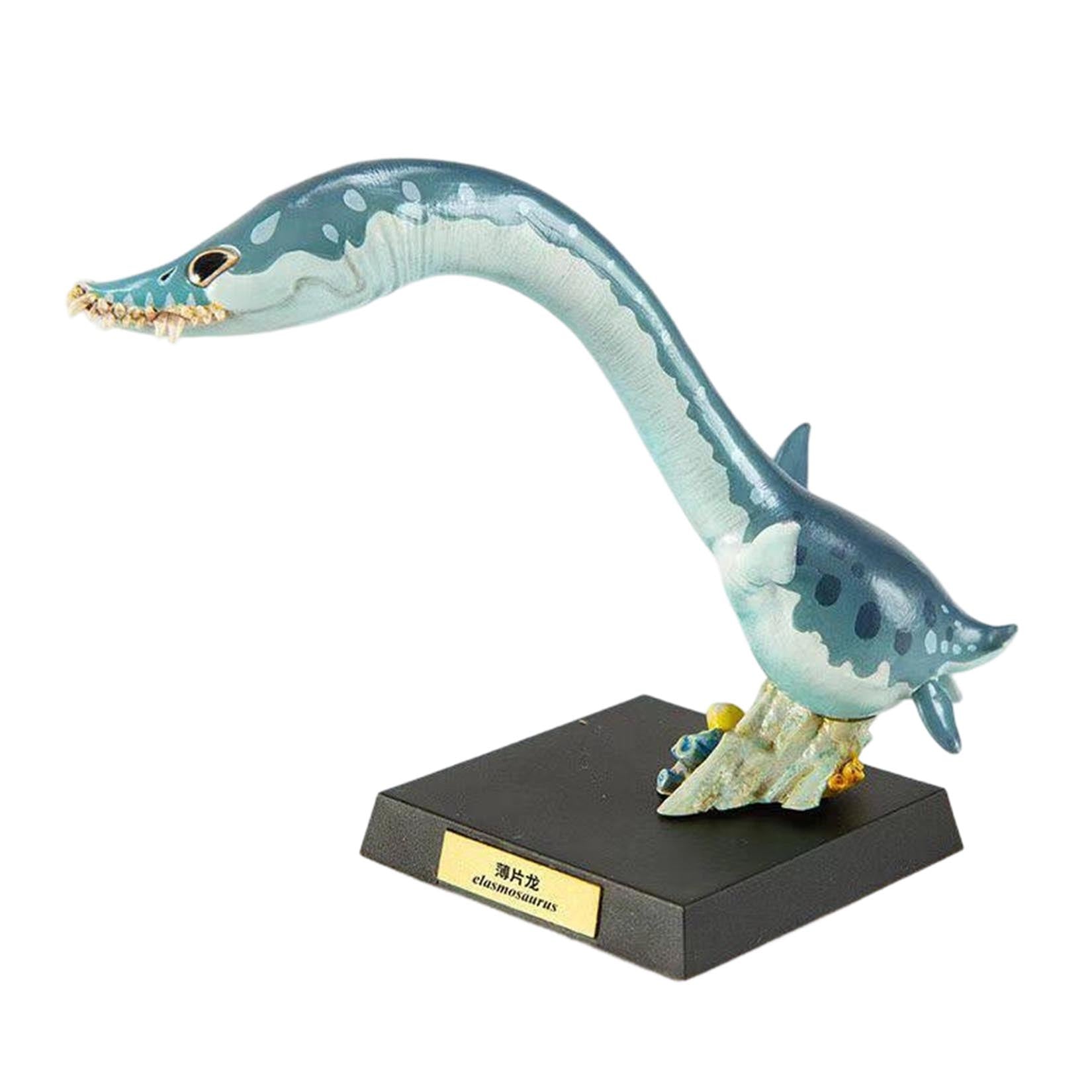 Animal Heavenly Body Elasmosaurus Mosasaurus Liopleurodon Model
