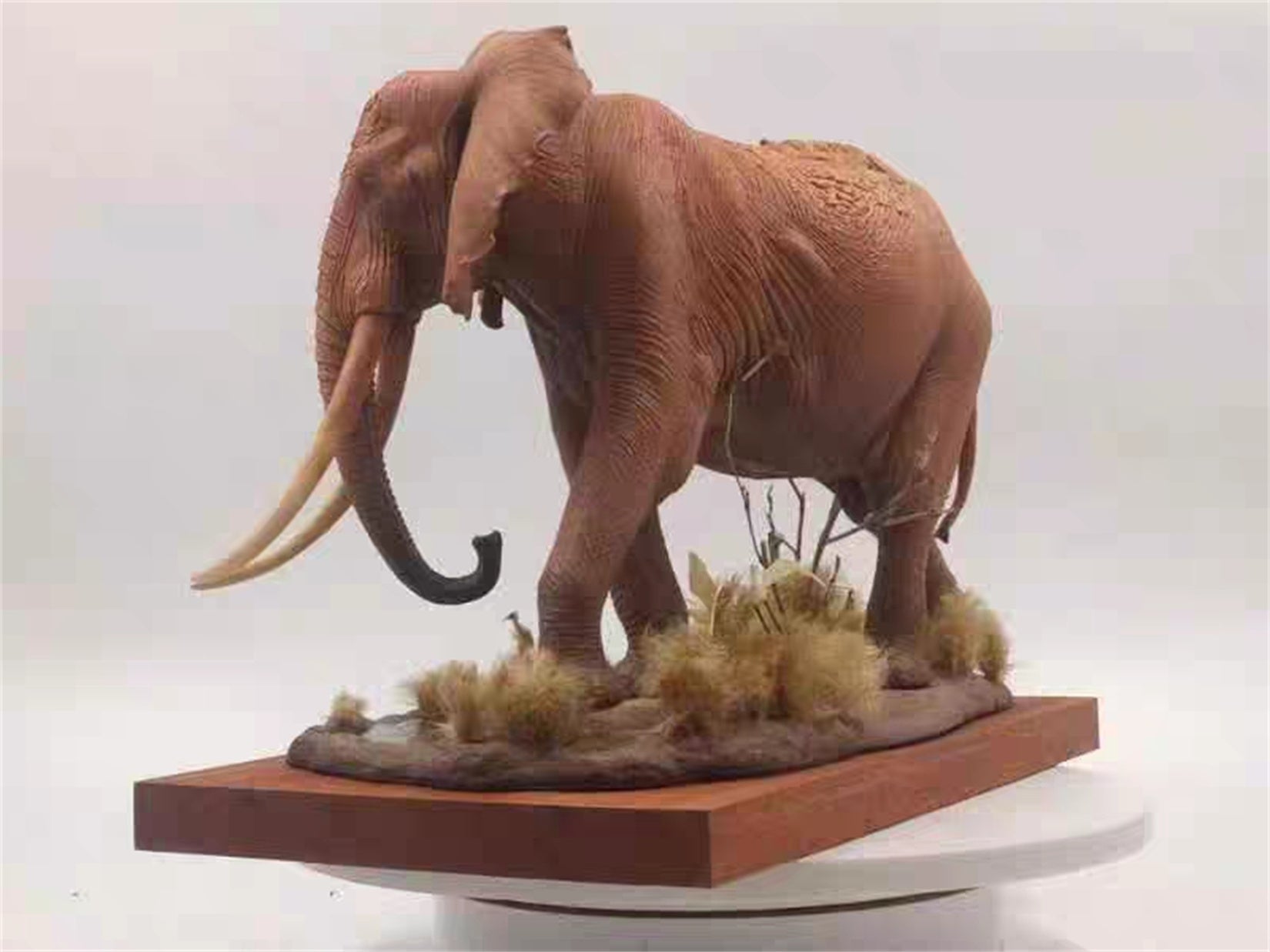 1/18 Scale Elephant Satao Model