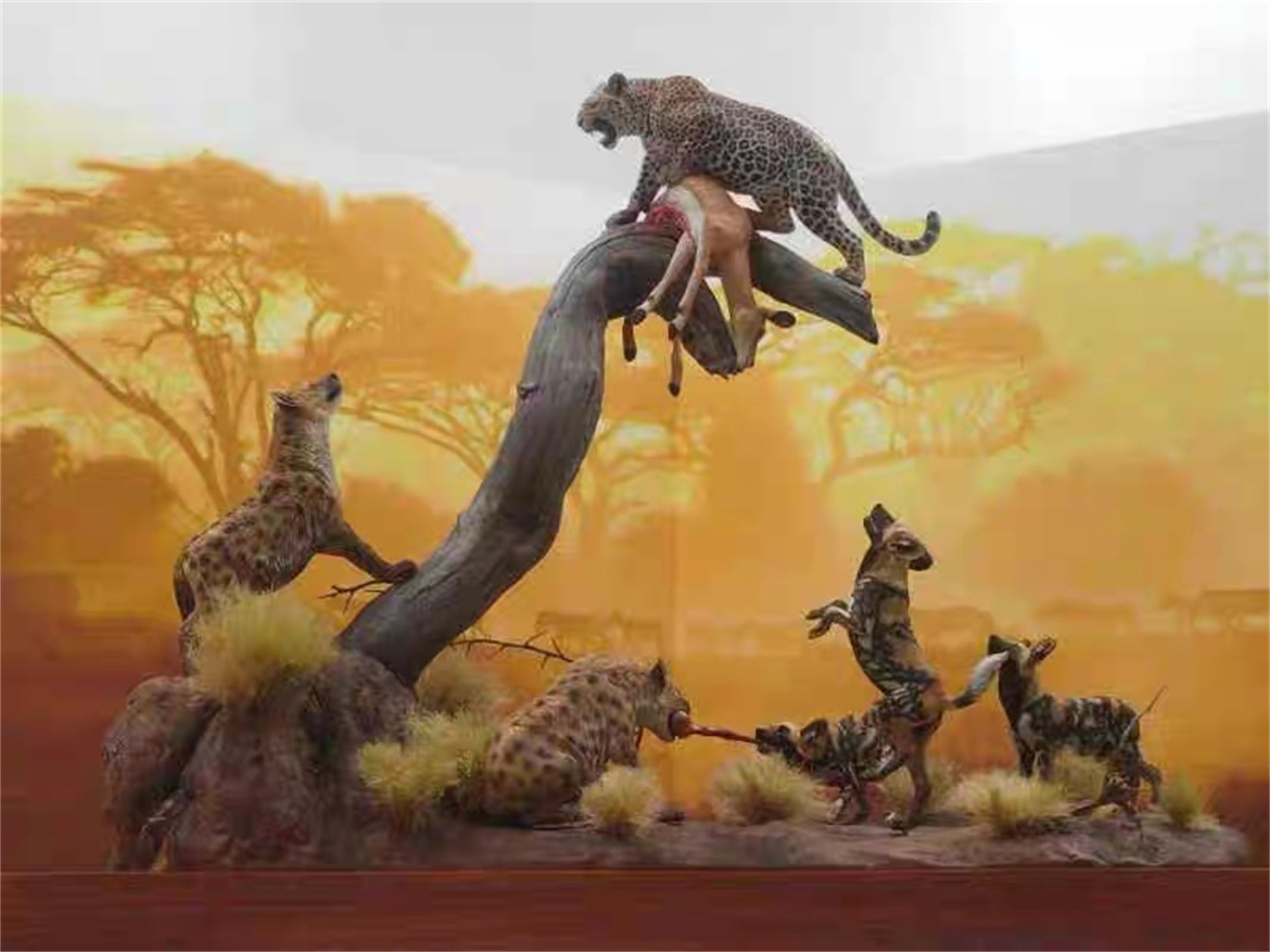 1/18 Scale Leopard Hyena Scene Model