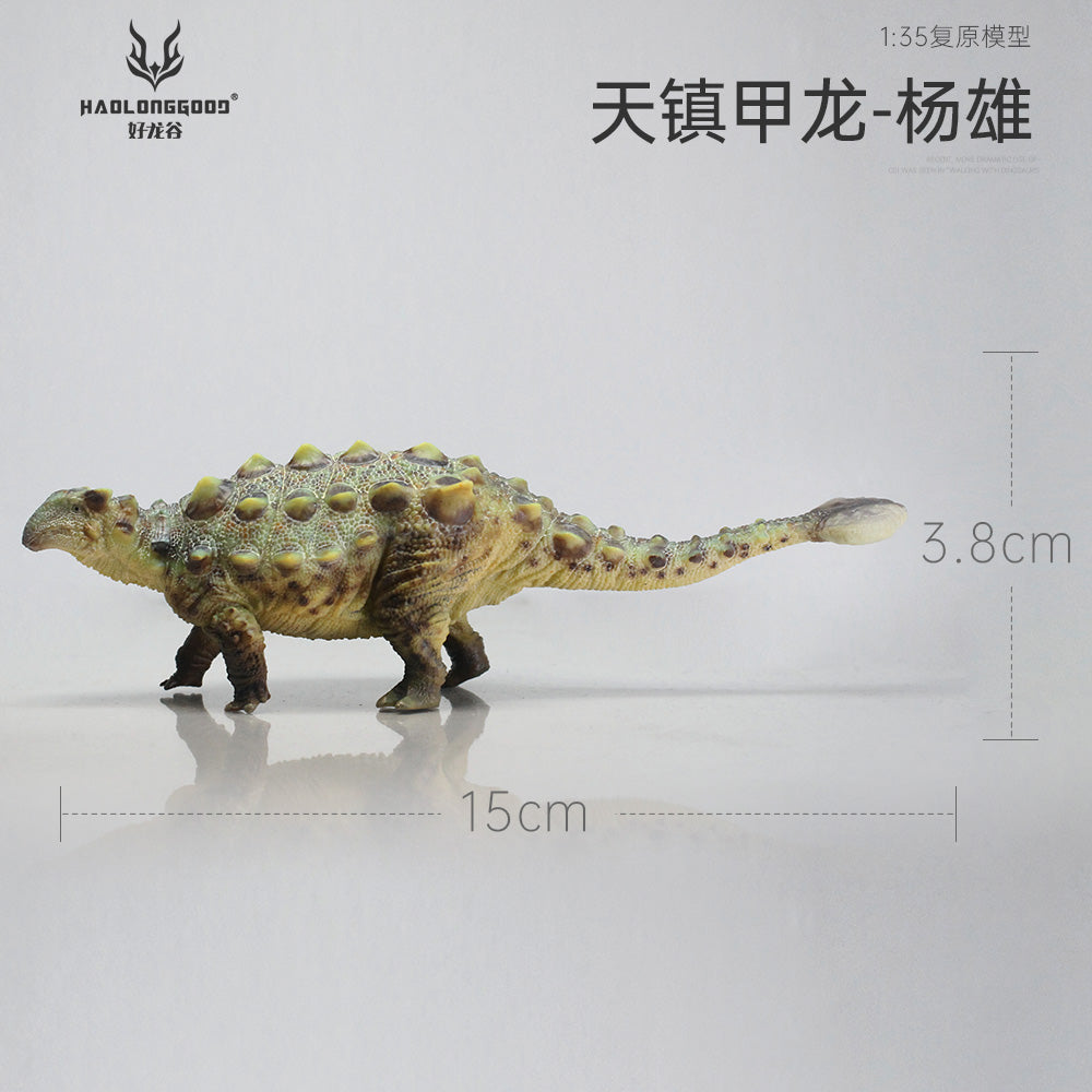 HAOLONGGOOD 1:35 Scale Tianzhenosaurus Model