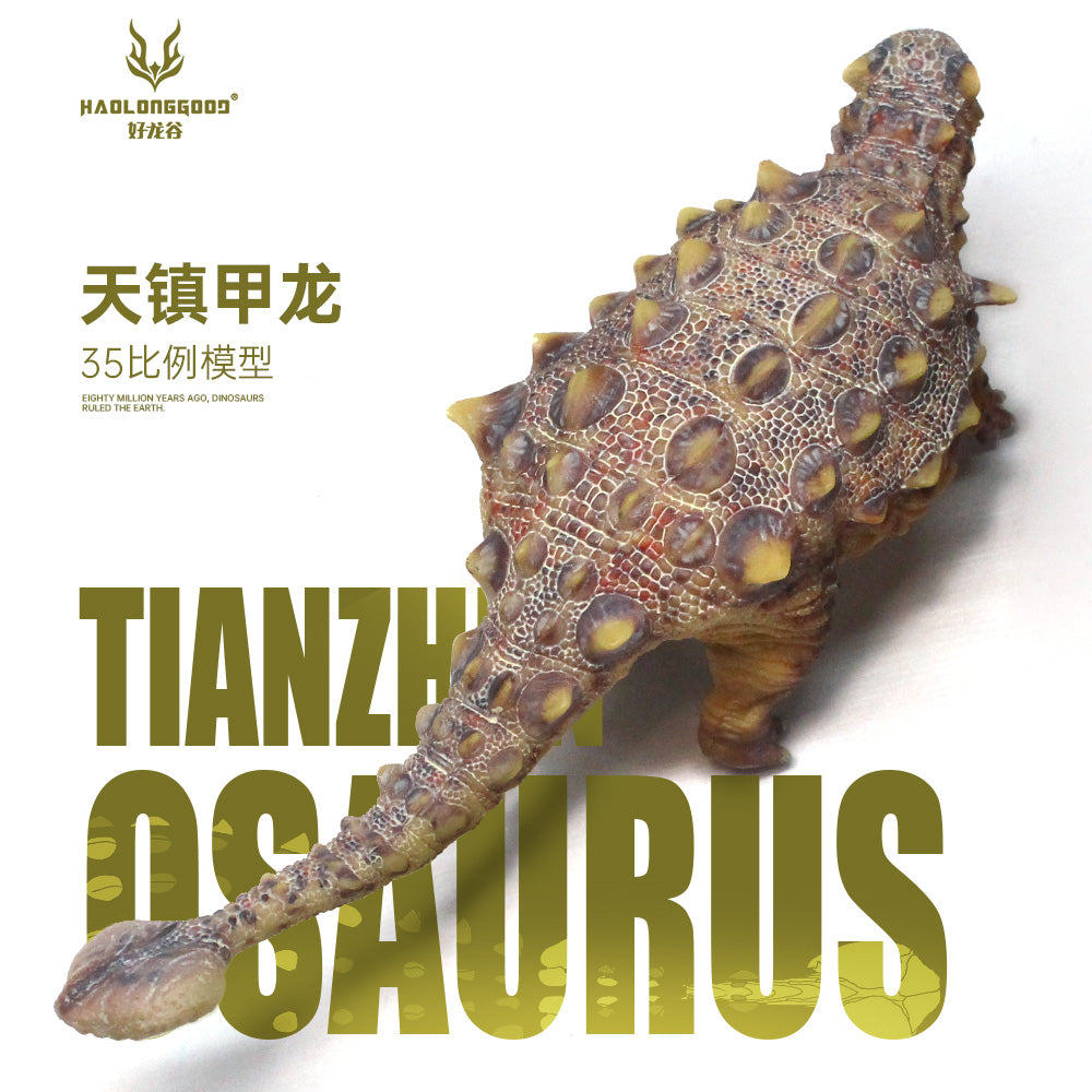 HAOLONGGOOD 1:35 Scale Tianzhenosaurus Model