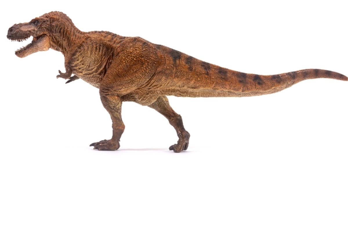 PNSO Tyrannosaurus Rex Wilson Figure – Lana Time Shop