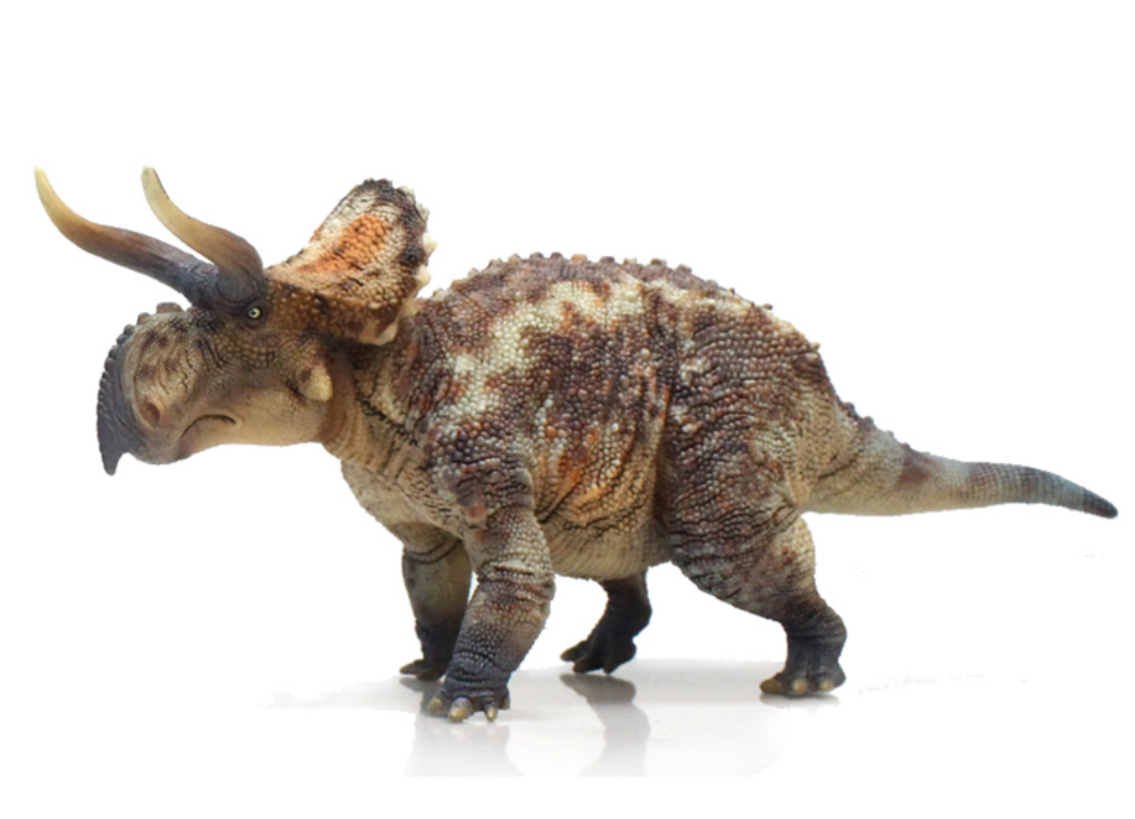 GRTOYS 1:35 Scale Nasutoceratops titusi Model