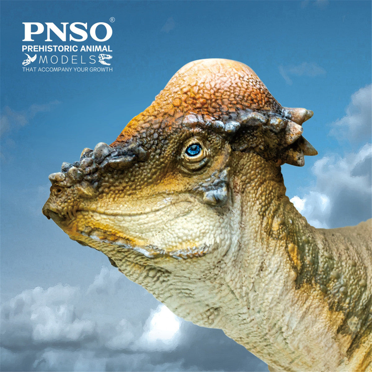 PNSO Pachycephalosaurus Austin Model