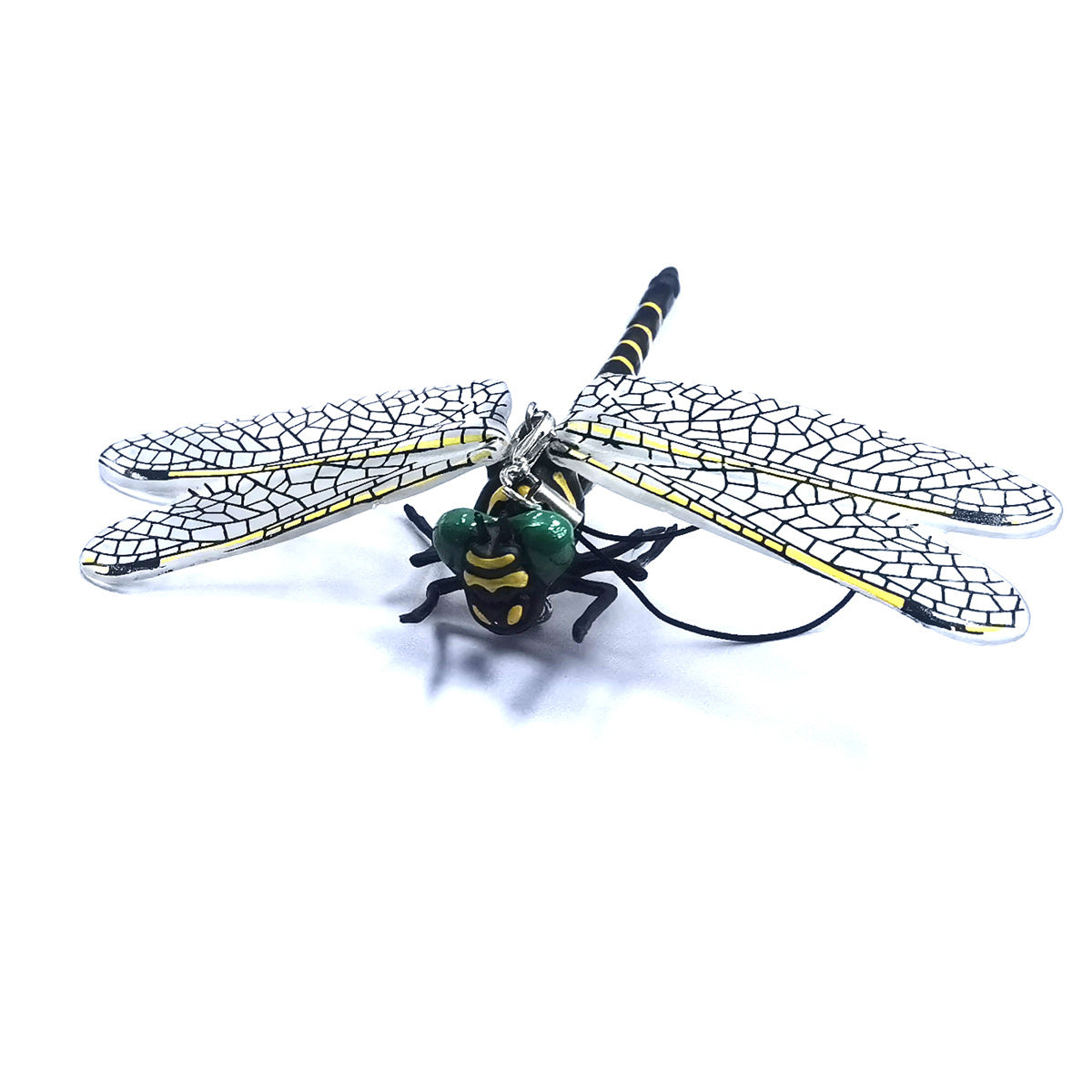Anotogaster Dragonfly Model