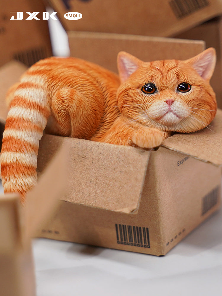 JXK Small The Cat In The Delivery Box 3.0 Model