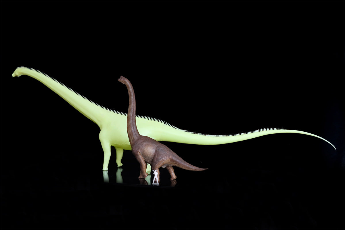 Barosaurus Model Kit
