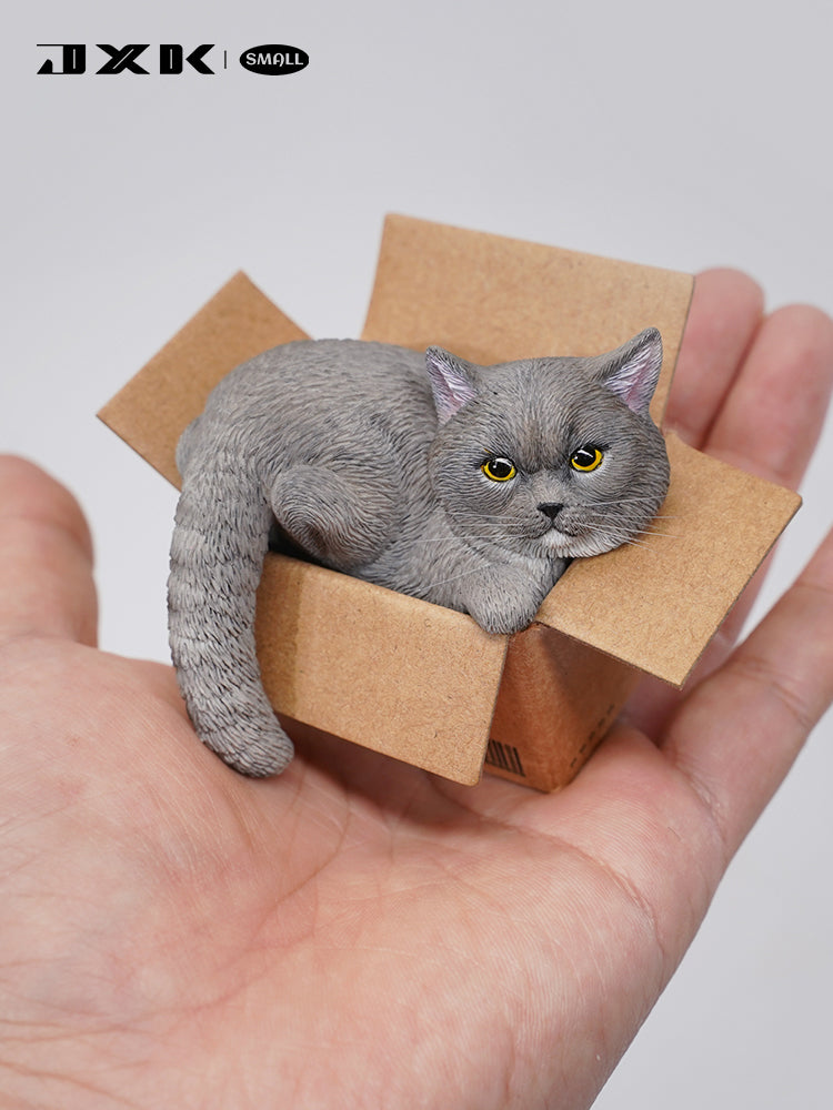 JXK Small The Cat In The Delivery Box 3.0 Model