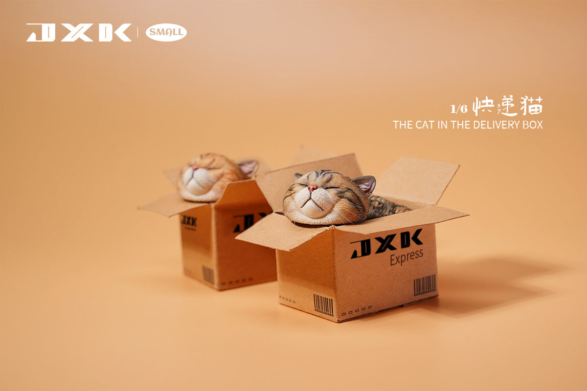 JXK The Cat In The Delivery Box Model