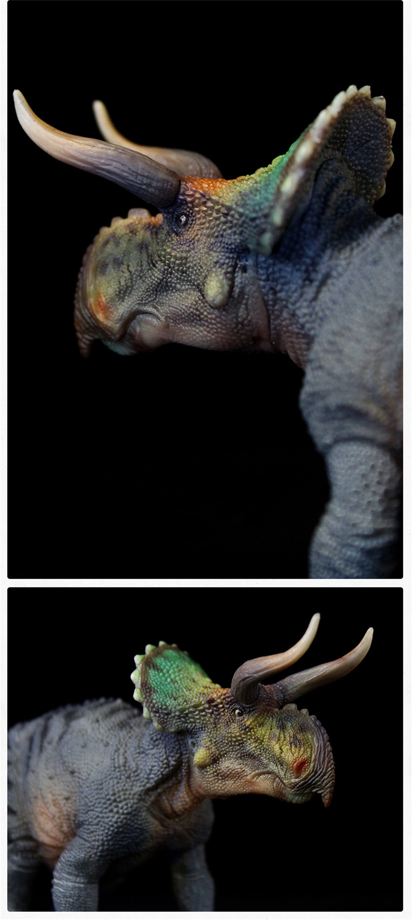 GRTOYS 1:35 Scale Nasutoceratops titusi Model
