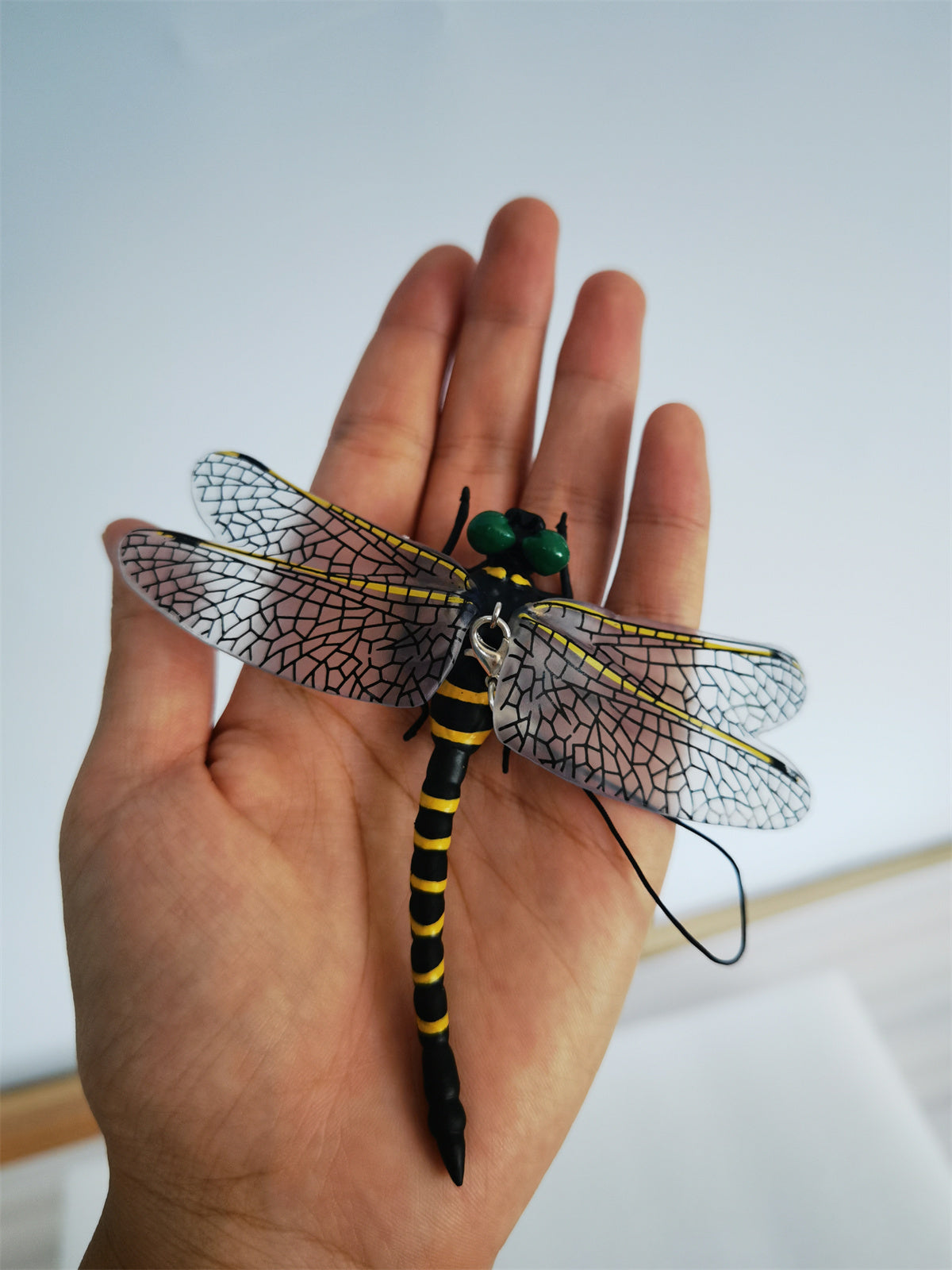 Anotogaster Dragonfly Model