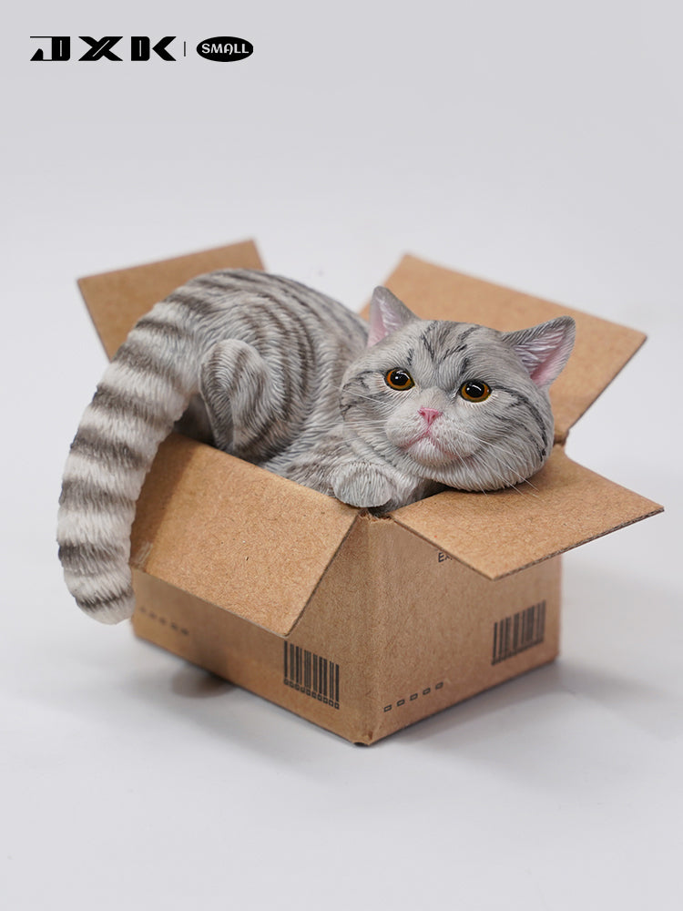 JXK Small The Cat In The Delivery Box 3.0 Model