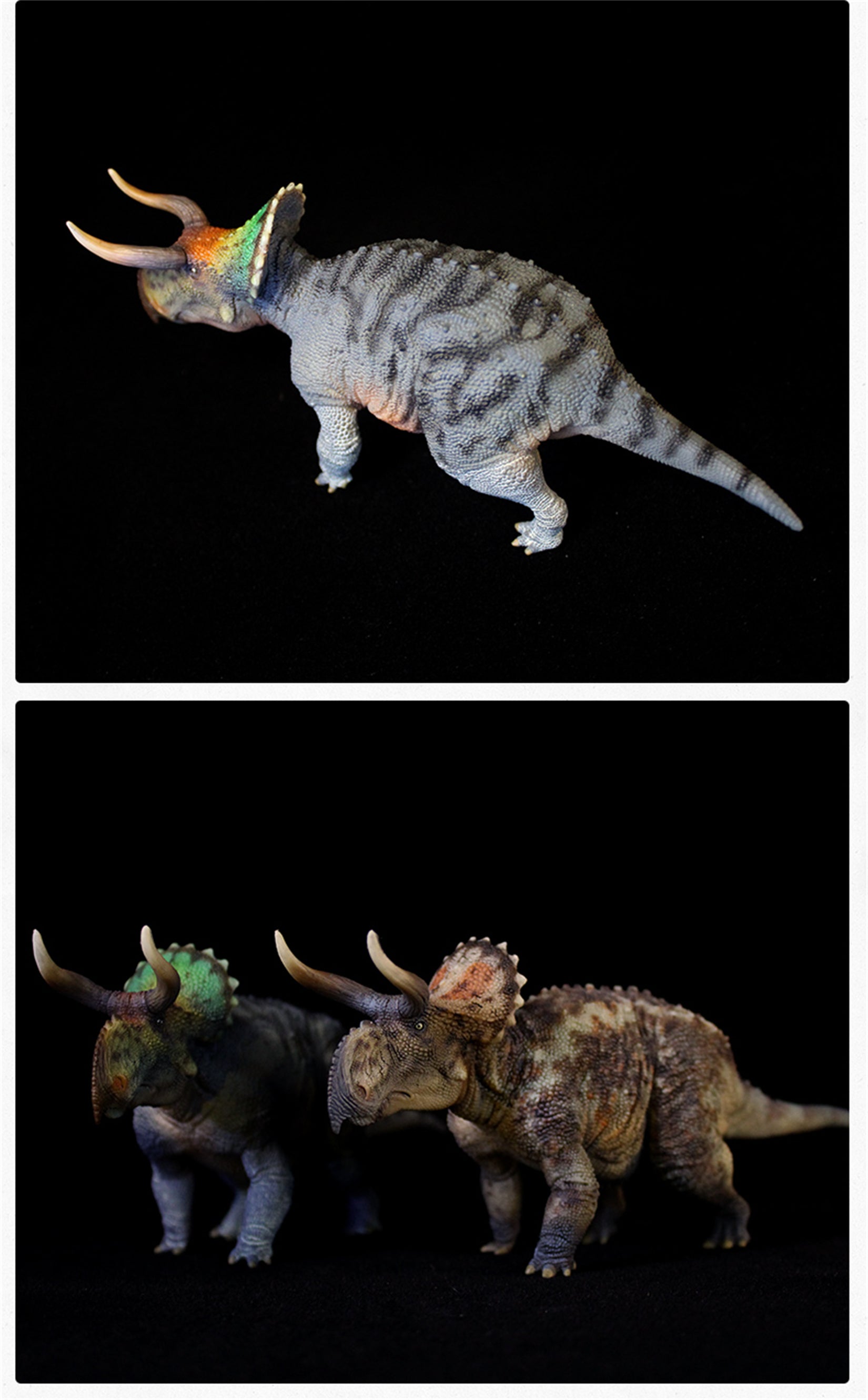 GRTOYS 1:35 Scale Nasutoceratops titusi Model