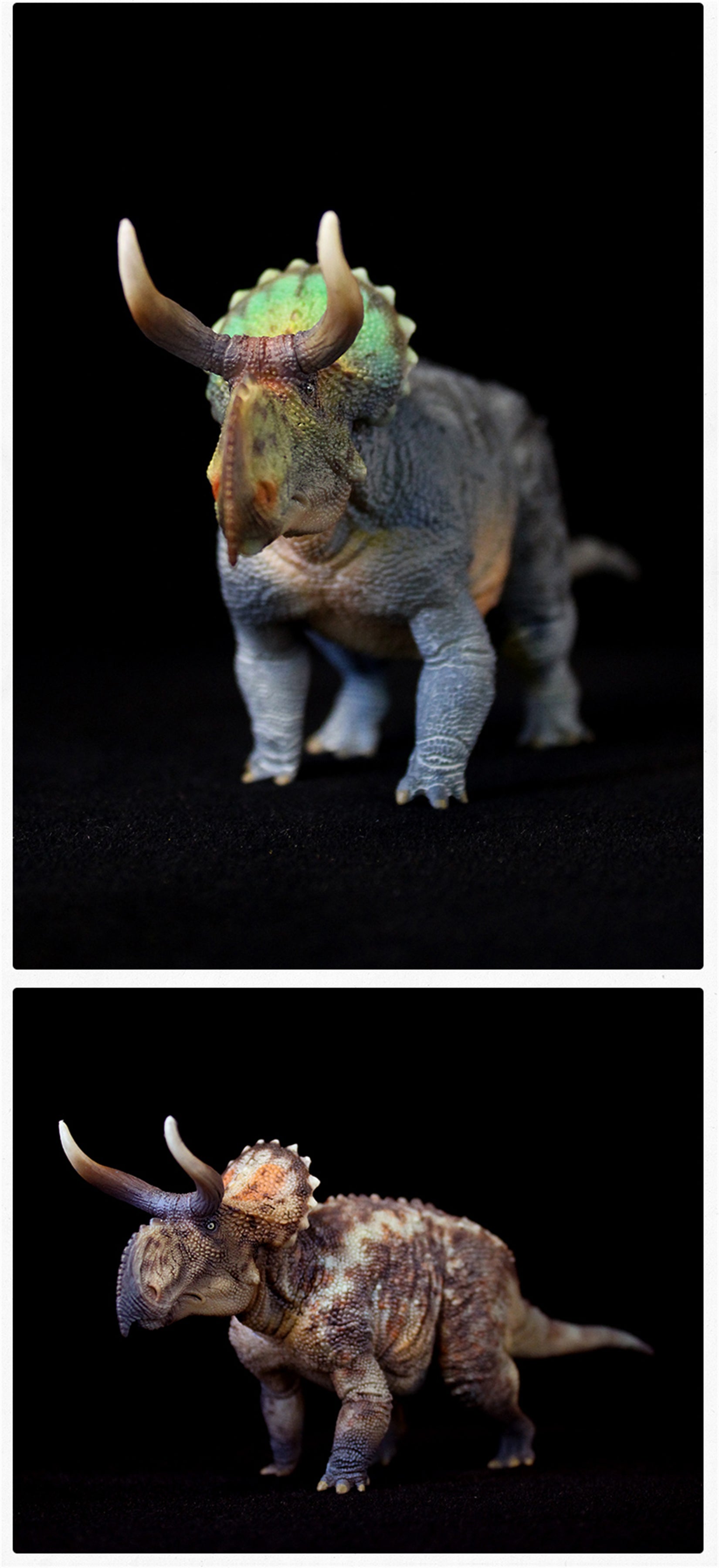 GRTOYS 1:35 Scale Nasutoceratops titusi Model