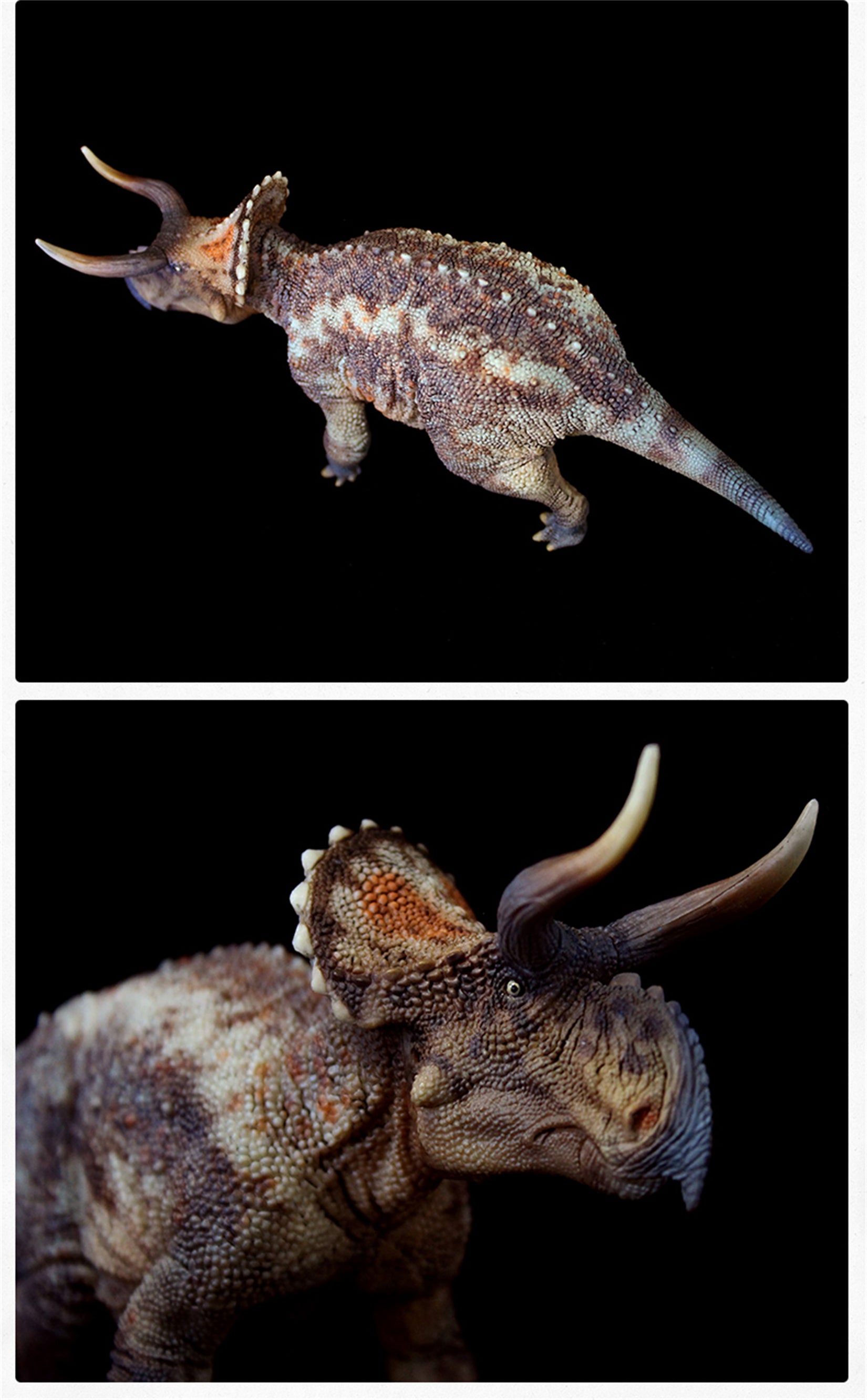 GRTOYS 1:35 Scale Nasutoceratops titusi Model