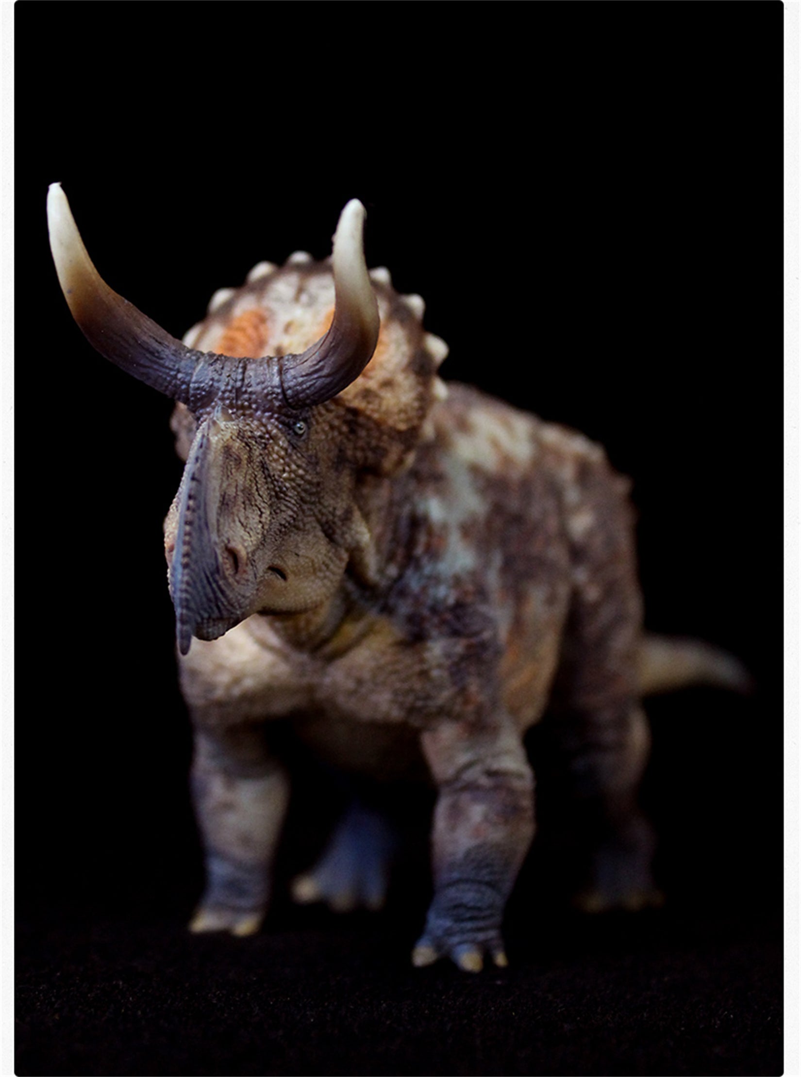 GRTOYS 1:35 Scale Nasutoceratops titusi Model