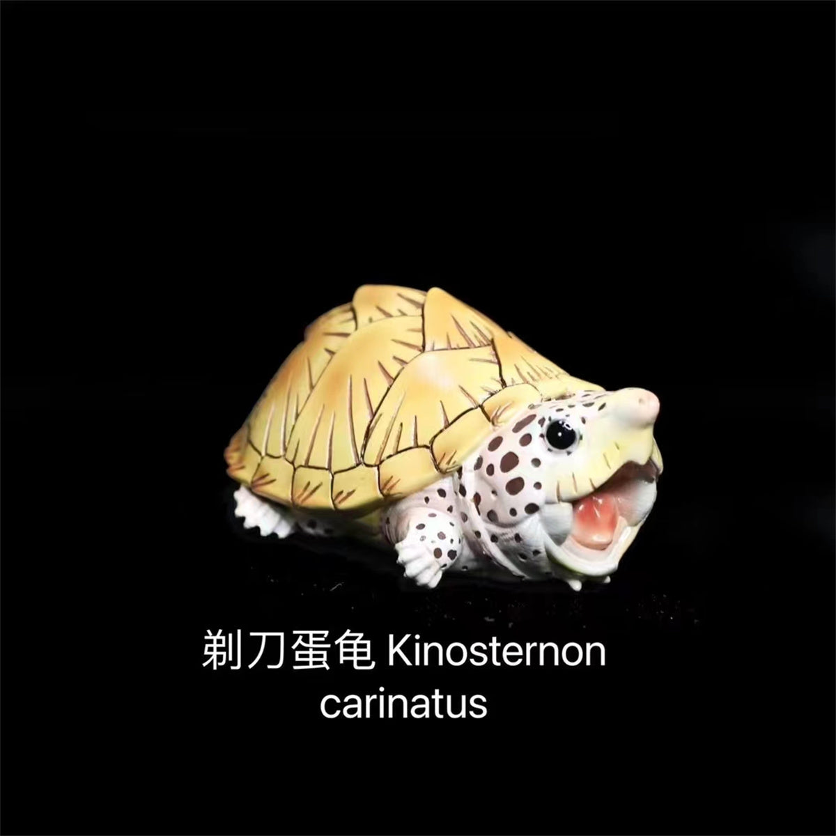 Q Version Turtle Blind Box Model