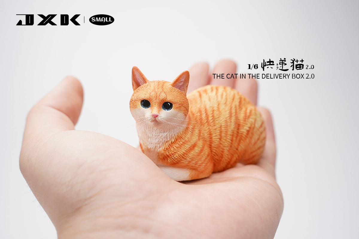 JXK Small The Cat In The Delivery Box 2.0 Model