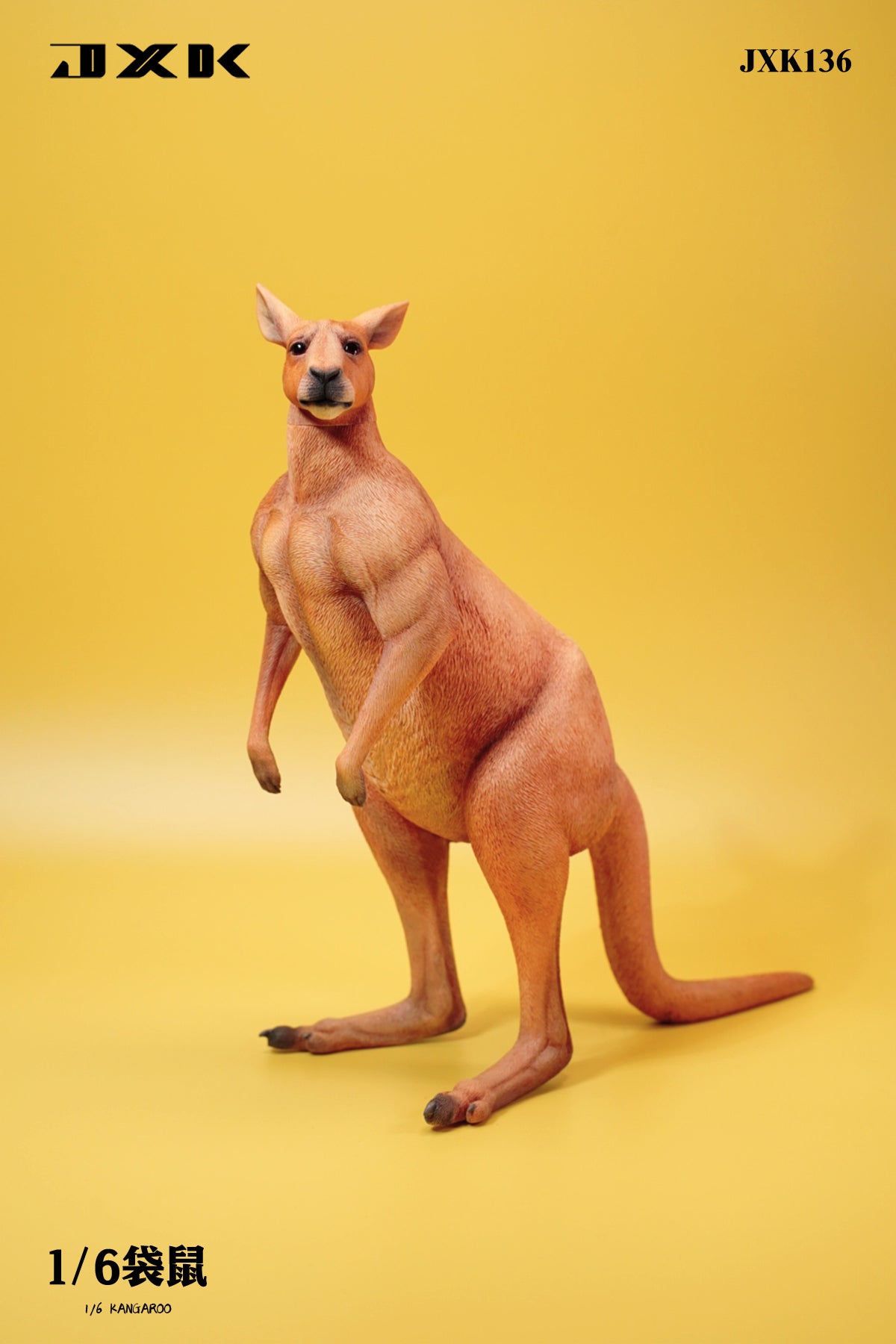 JXK 1/6 Kangaroo Model