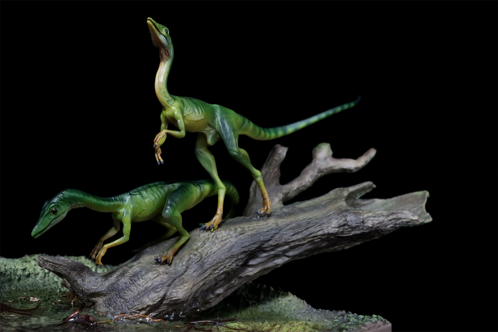 DINO DREAM 1/5 Scale Compsognathus Statue