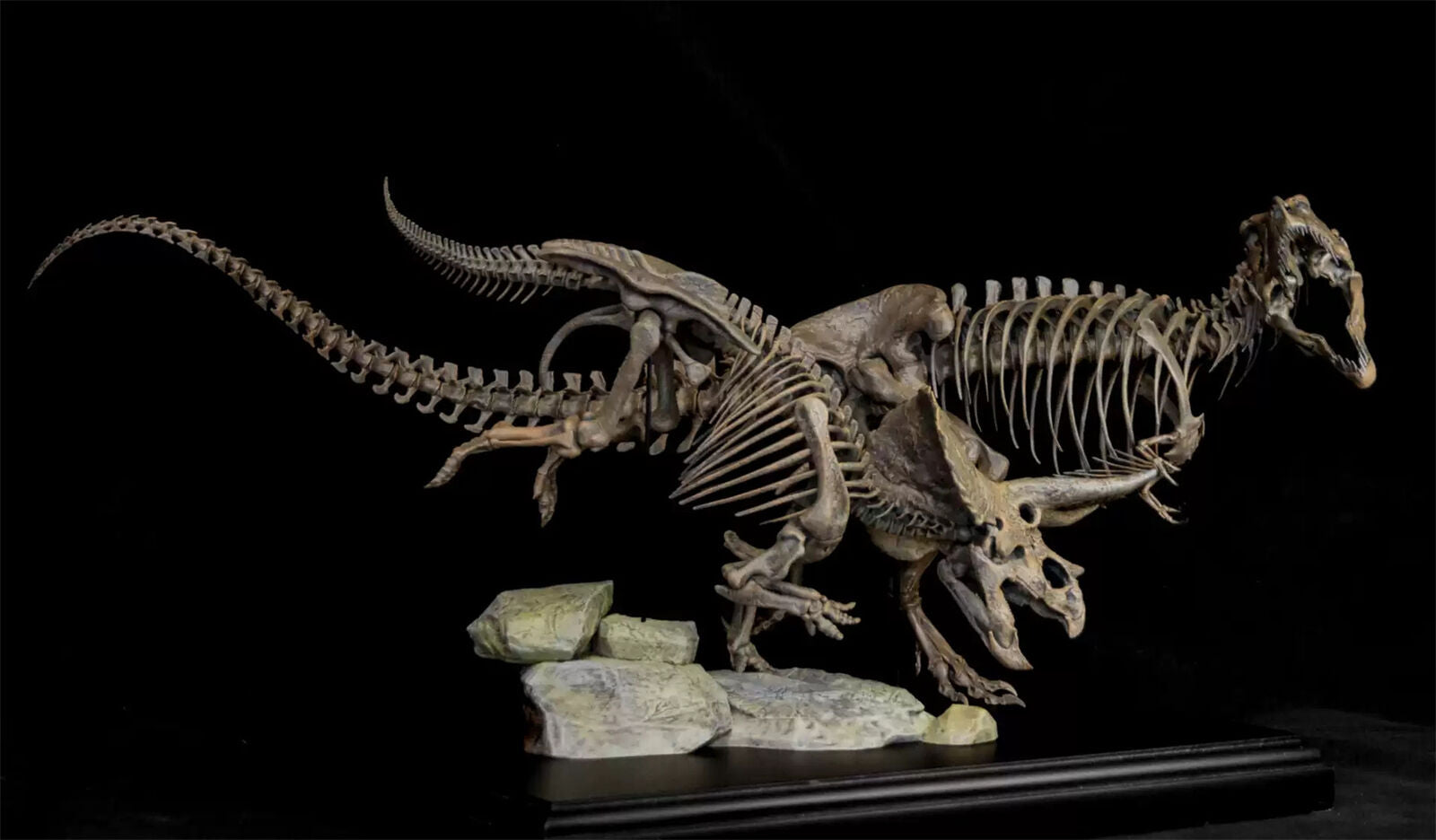 VWUVWU 1/20 Tyrannosaurus VS Triceratops Skeleton Model