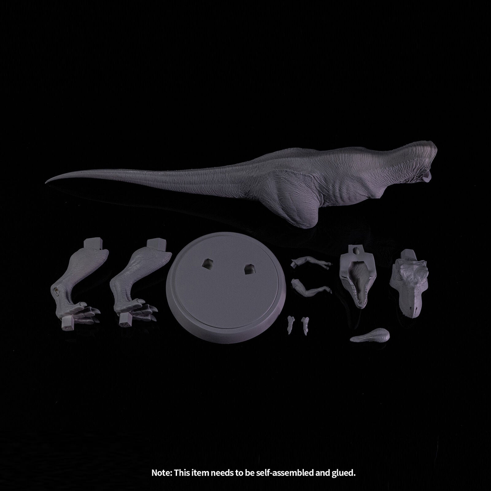 Nanmu Tyrannosaurus Alpha 2.0 Model