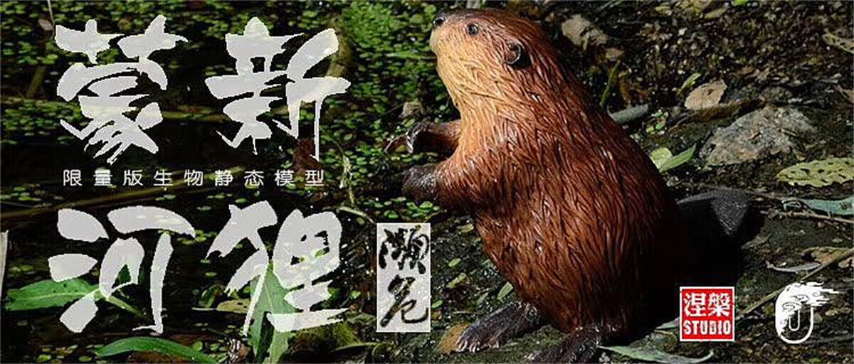 Castor Fiber Biruiai Statue