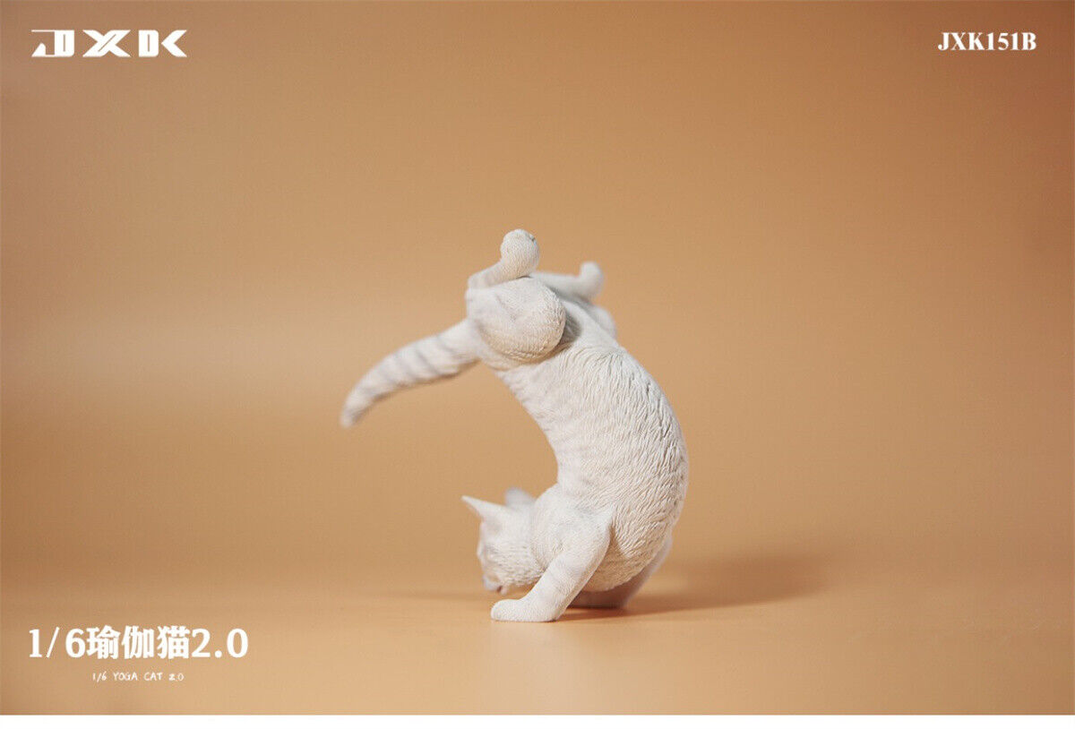 JXK 1/6 Yoga Cat 2.0 Model