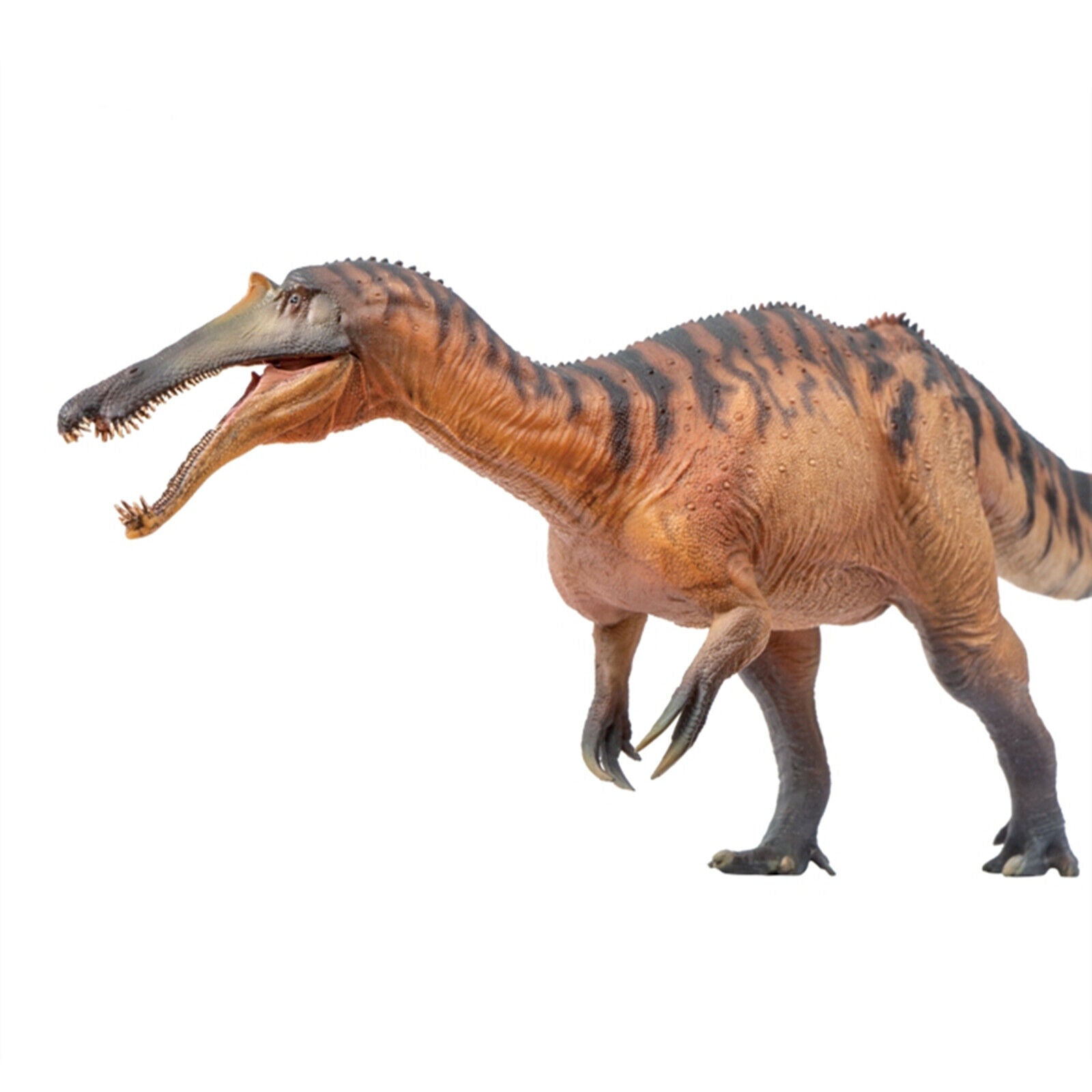 PNSO Sinopliosaurus Chongzuo Model