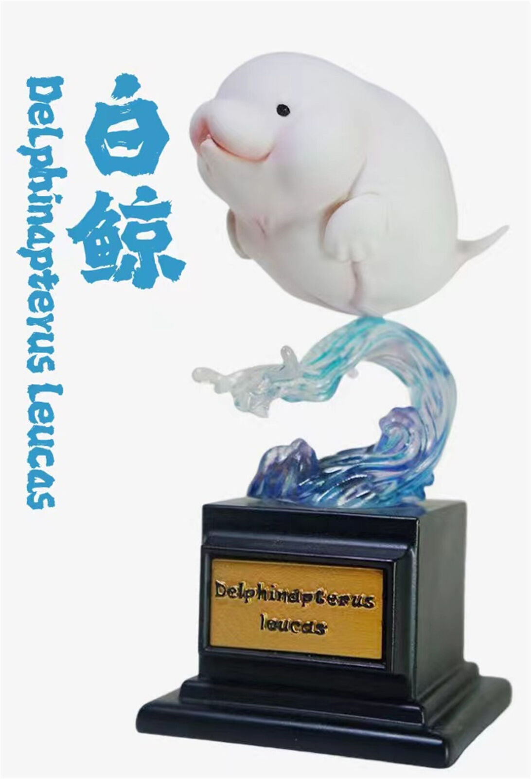 Whale Blind Box Model