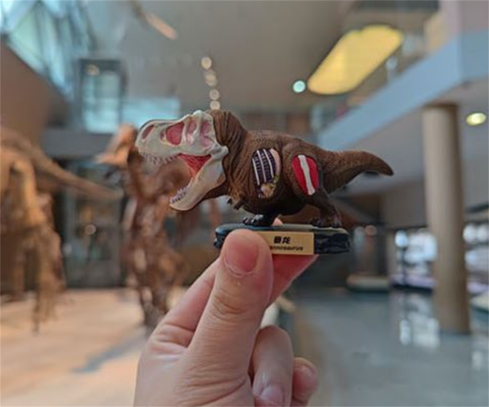 Animal Planet T-Rex Model