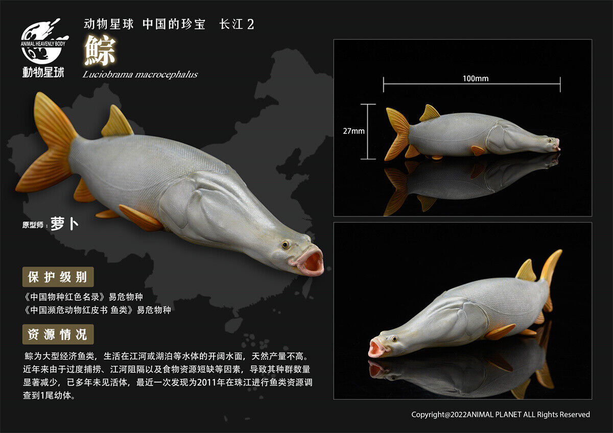 Chinese Treasures Yangtze River 2 Blind Box Model