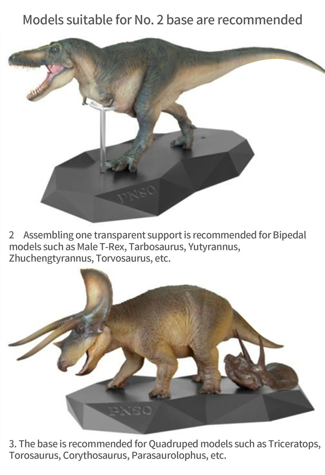 PNSO Transparent Auxiliary Support Base Model