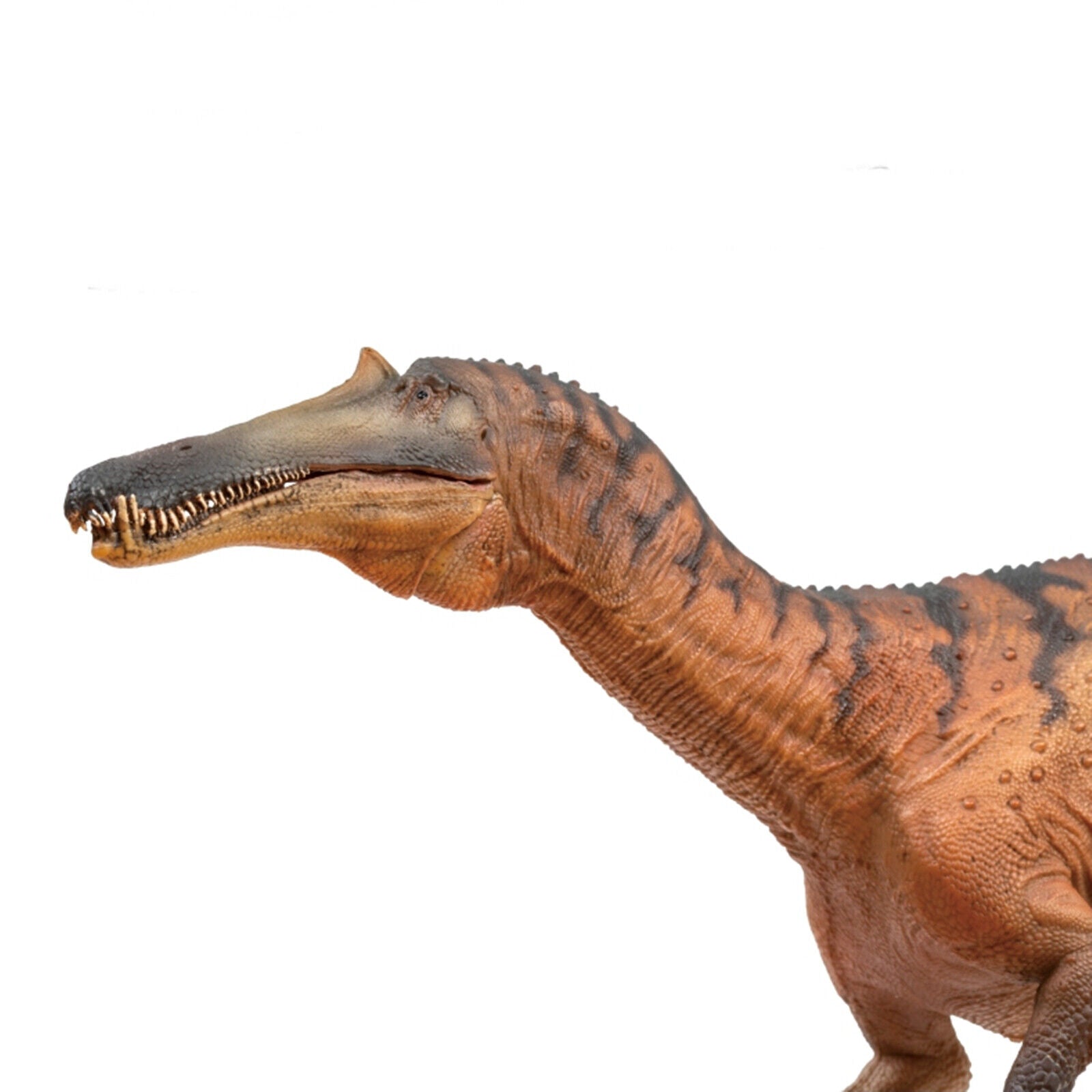 PNSO Sinopliosaurus Chongzuo Model