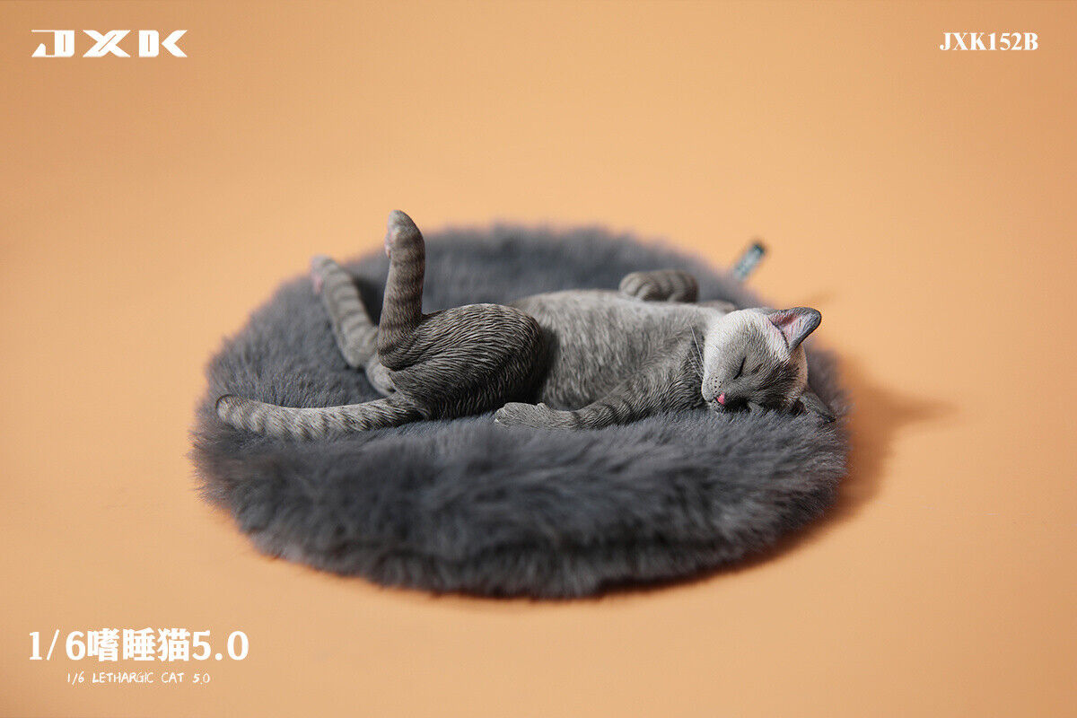 JXK 1/6 Lethargic Cat 5.0 Model