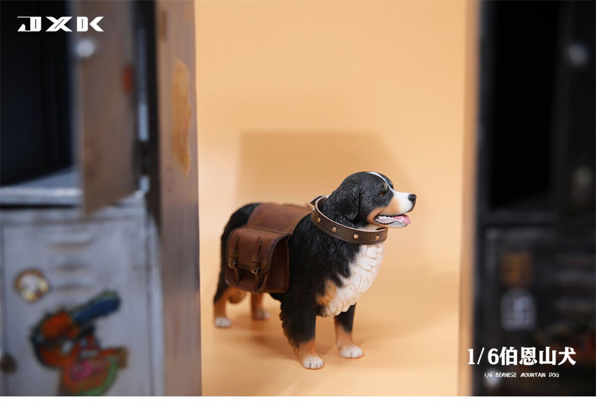 JXK 1/6 Bernese Mountain Dog Model