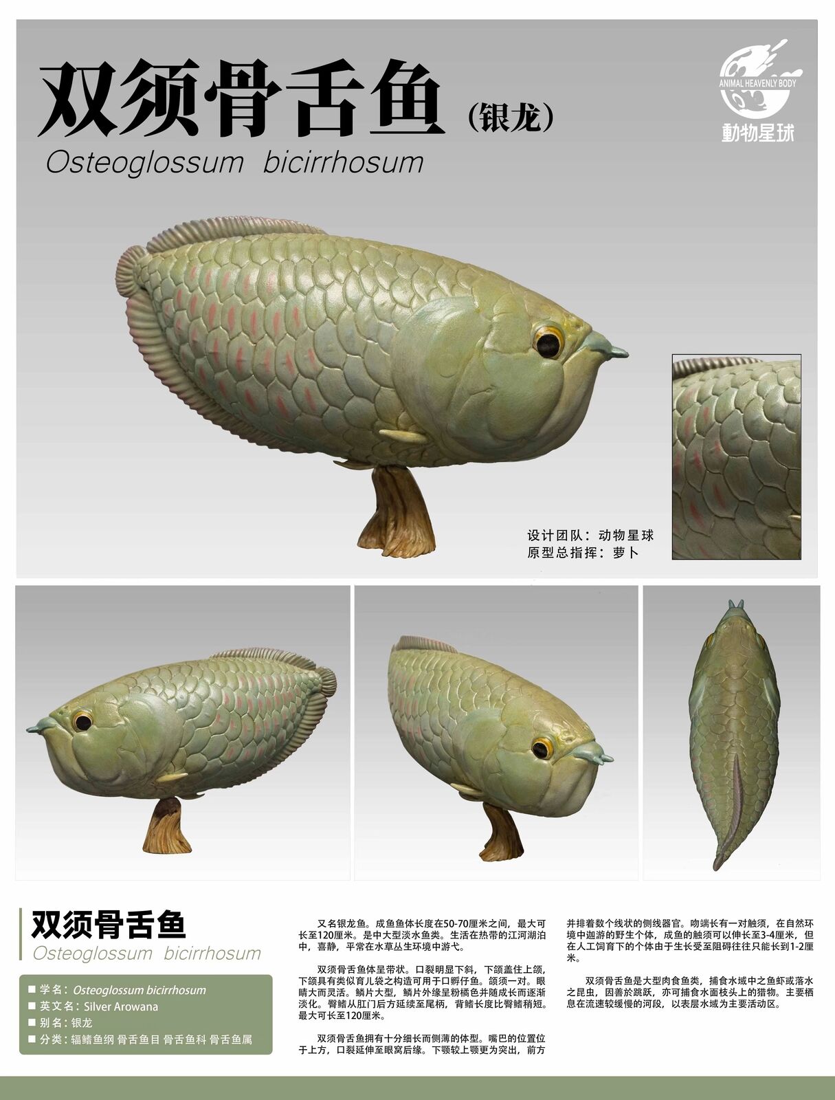 Animal Planet 11 Ancient Fish Blind Box Model