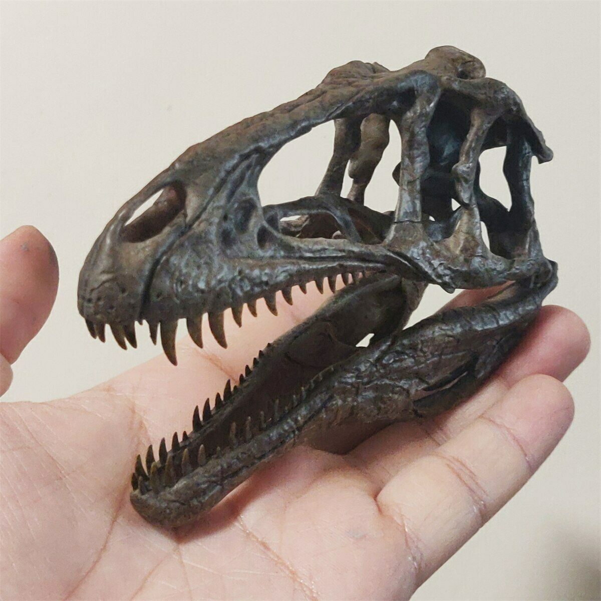 1/10 Acrocanthosaurus Skull Model