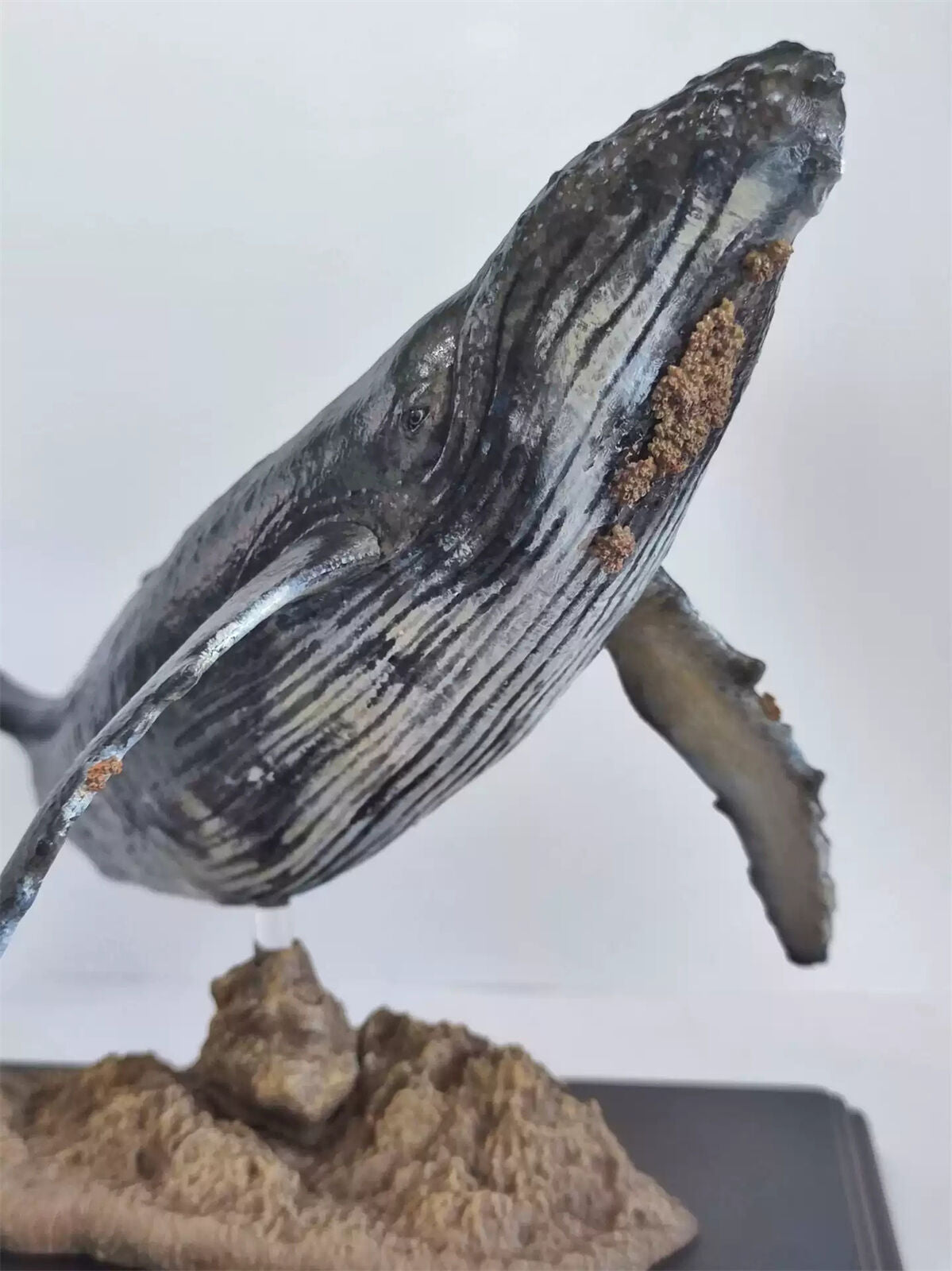 Xifu Studio 1/35 Humpback Whale Model
