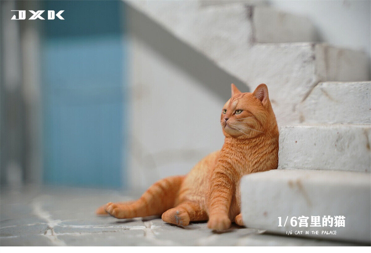 JXK 1/6 Cat In The Place Model